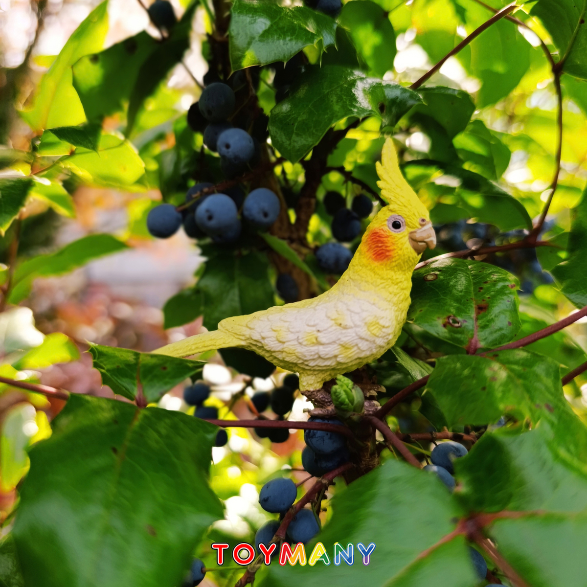 Toymany Cockatiel Figurine Toy-scene
