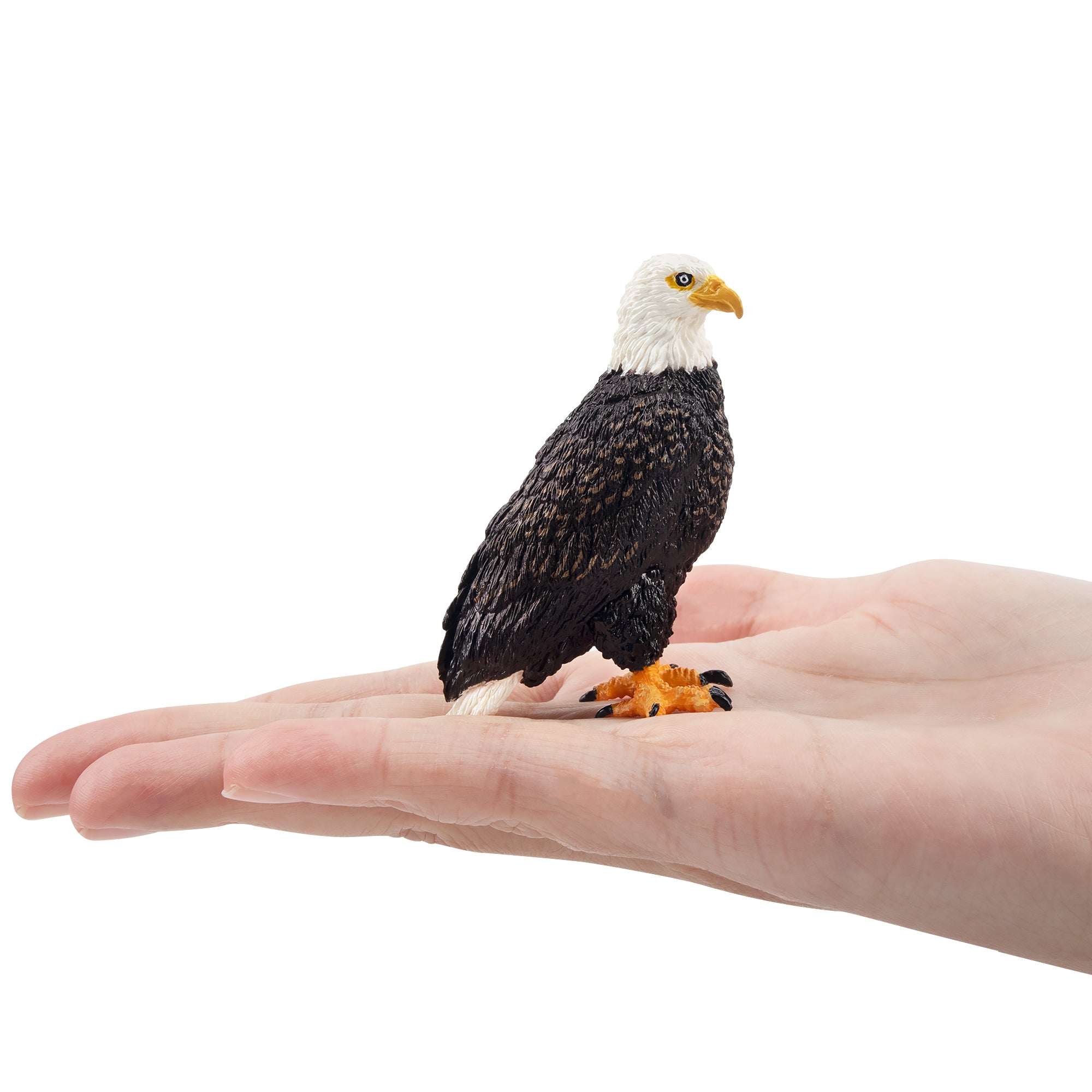 Toymany Eagle Figurine Toy-on hand