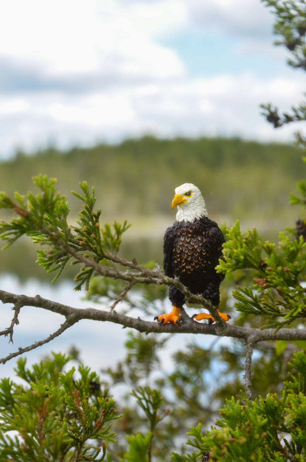 Toymany Eagle Figurine Toy-outdoor