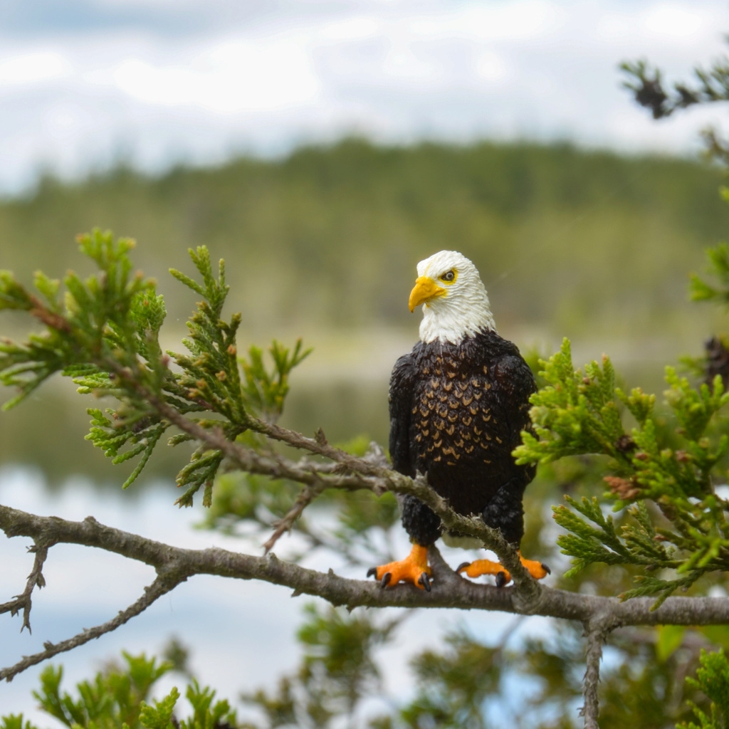 Toymany Eagle Figurine Toy-outdoor