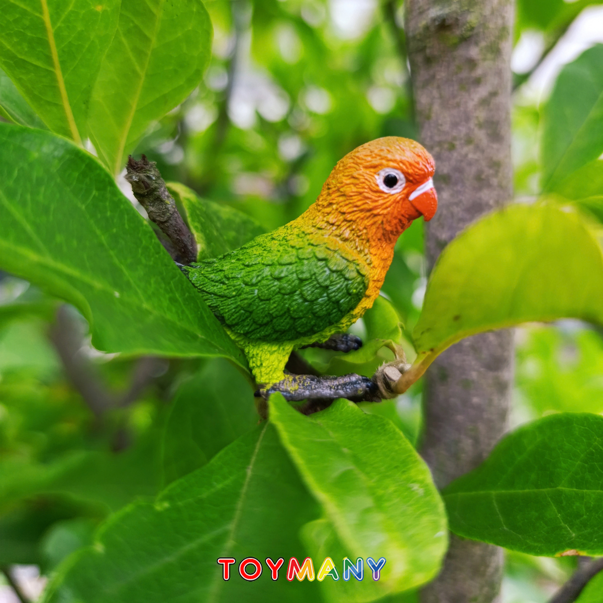 Toymany Fischer's Lovebird Figurine Toy-scene