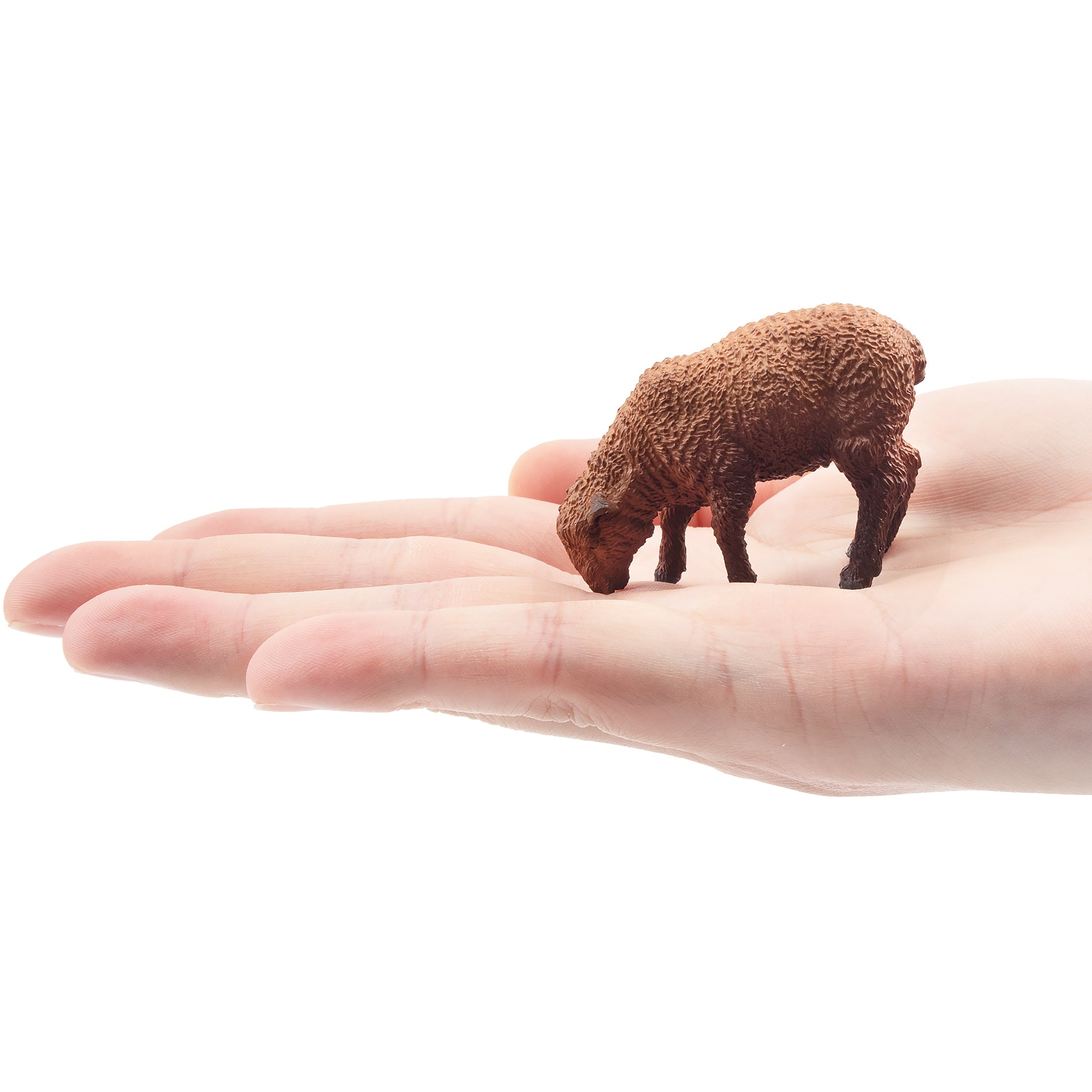Toymany Foraging Dark-Haired Lamb Figurine Toy-on hand