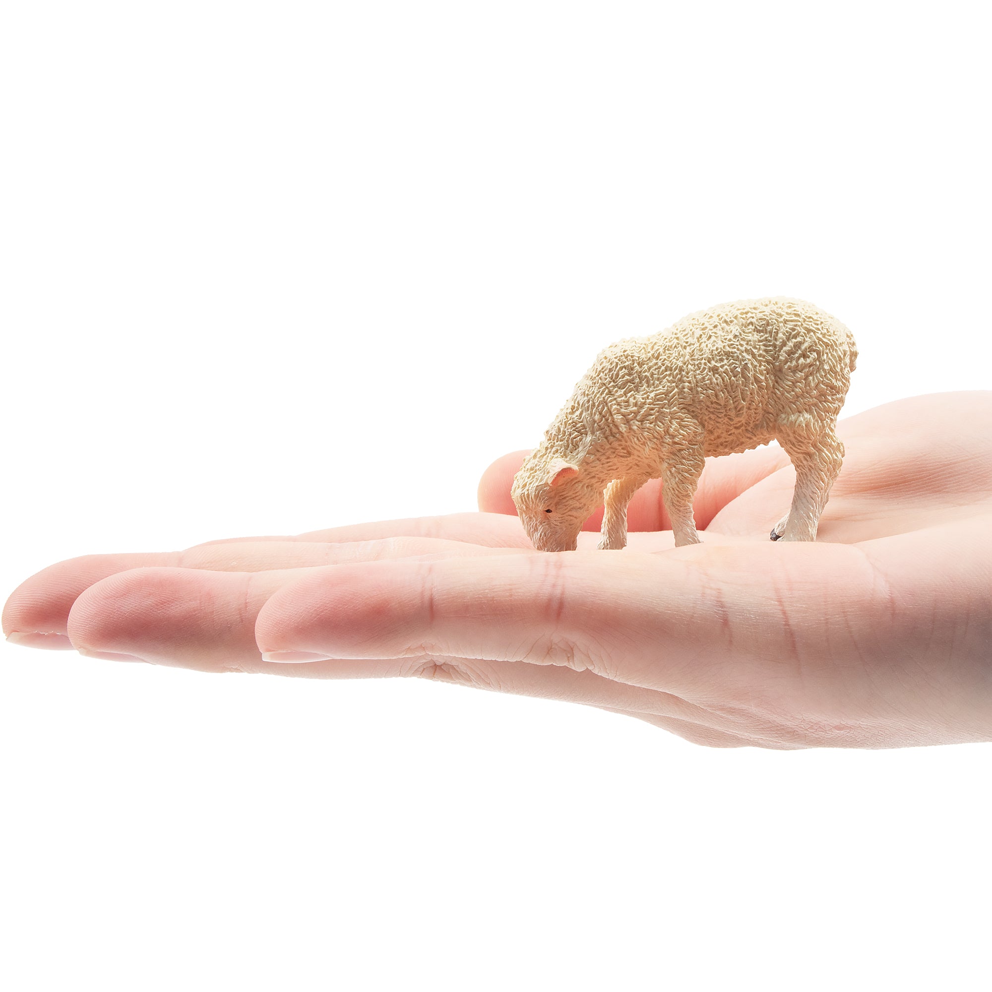 Toymany Foraging Light-Haired Lamb Figurine Toy-on hand