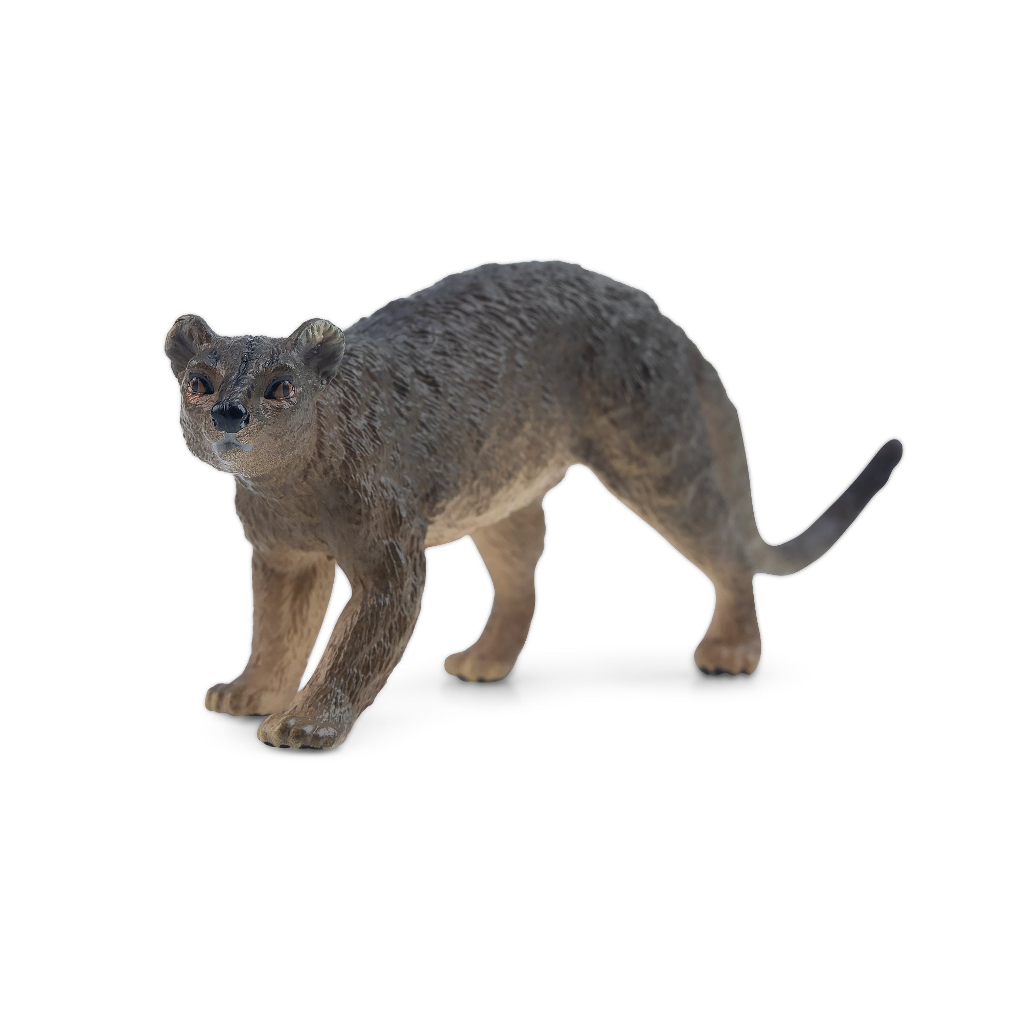 Toymany Fossa Figurine Toy-1