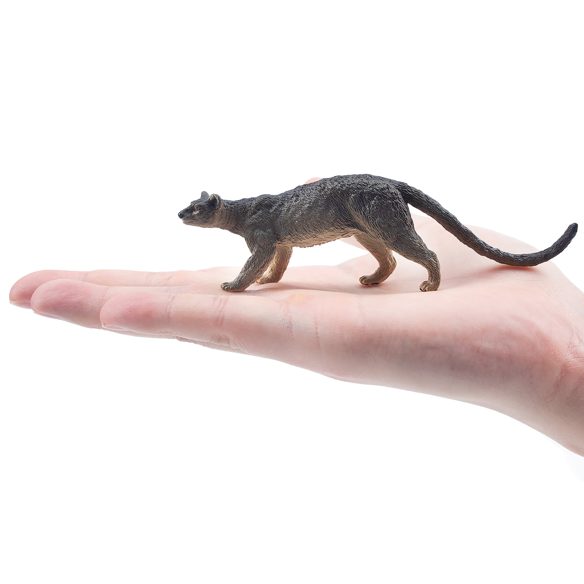 Toymany Fossa Figurine Toy-on hand