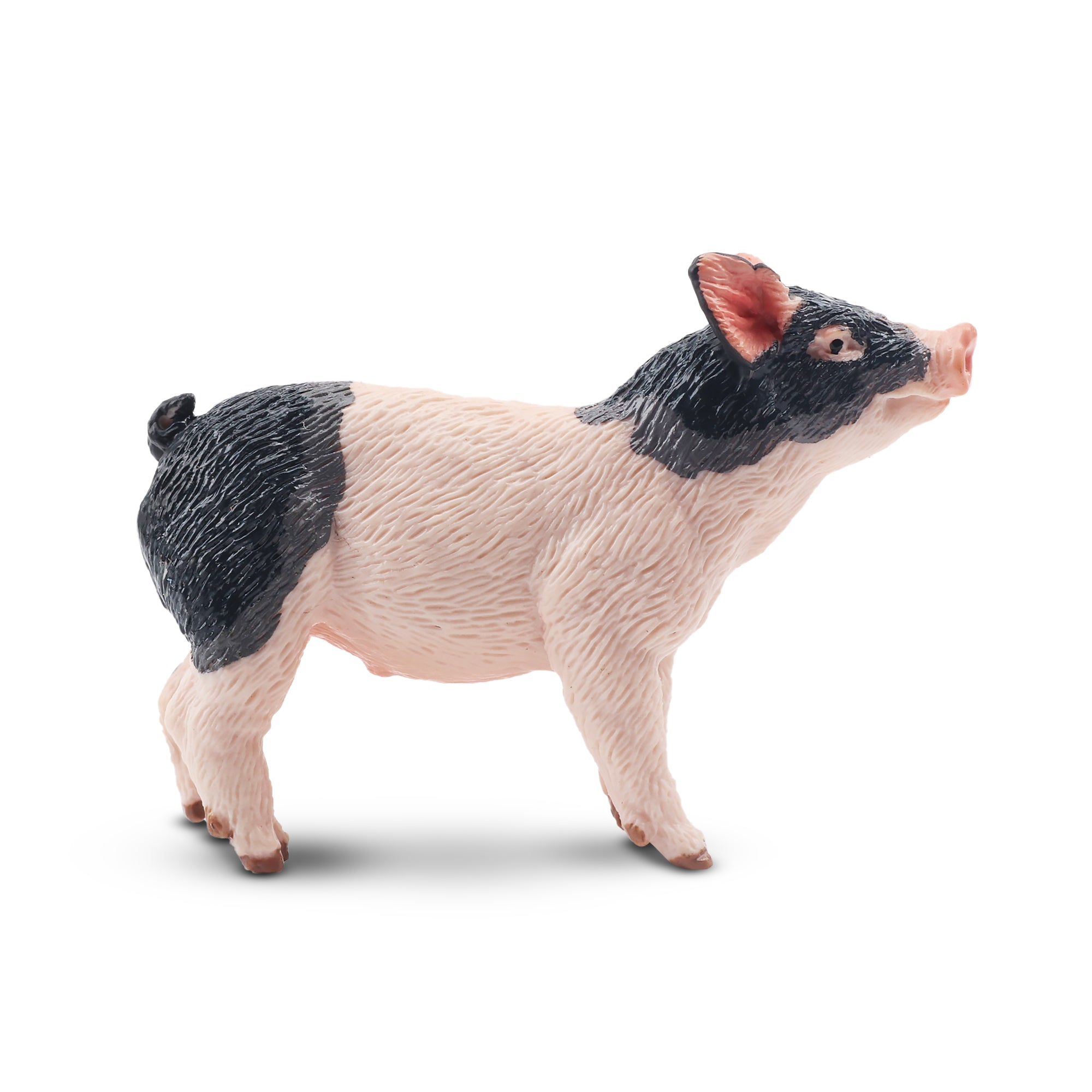 Toymany Gazing Grey Piglet Figurine Toy-2