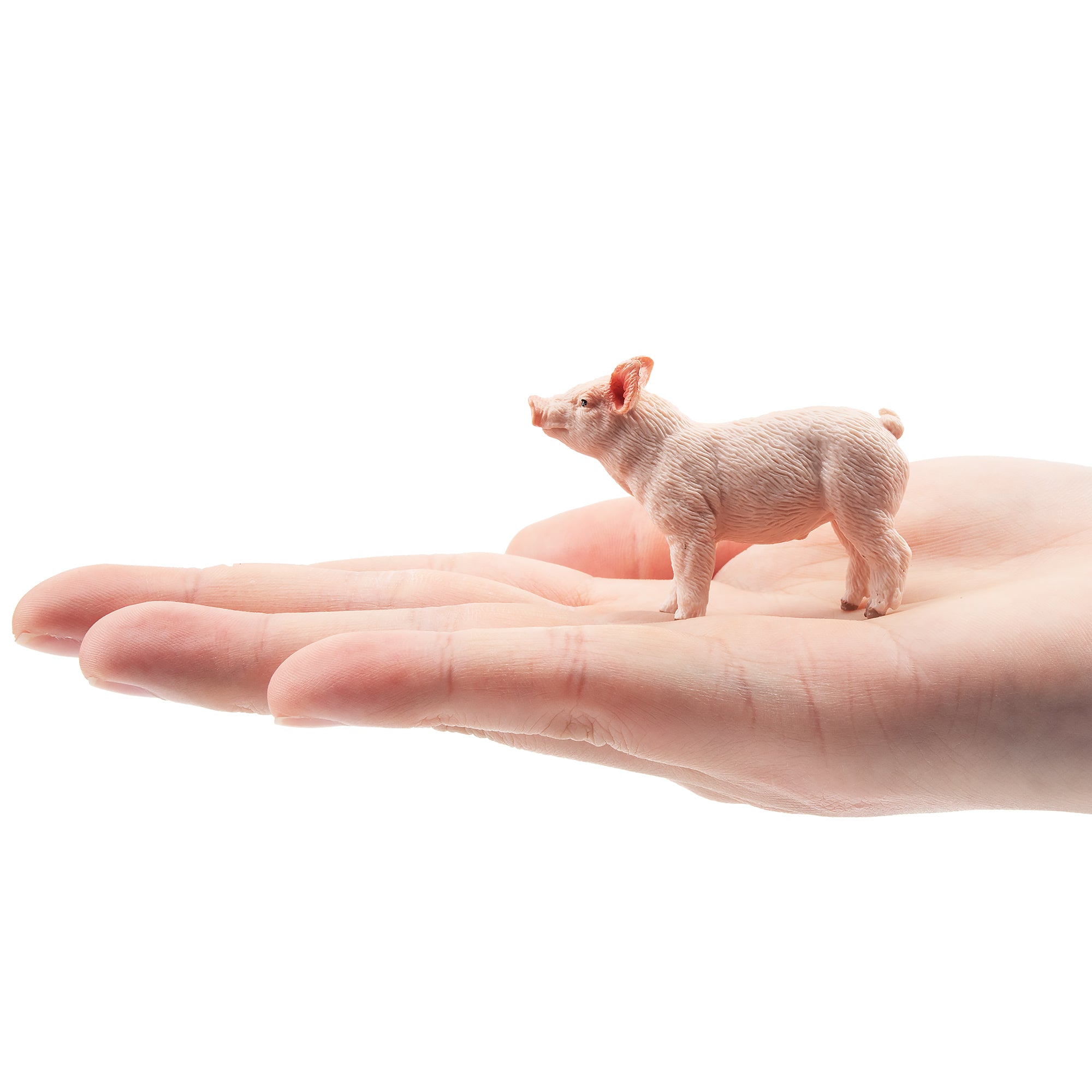 Toymany Gazing Pink Piglet Figurine Toy-on hand