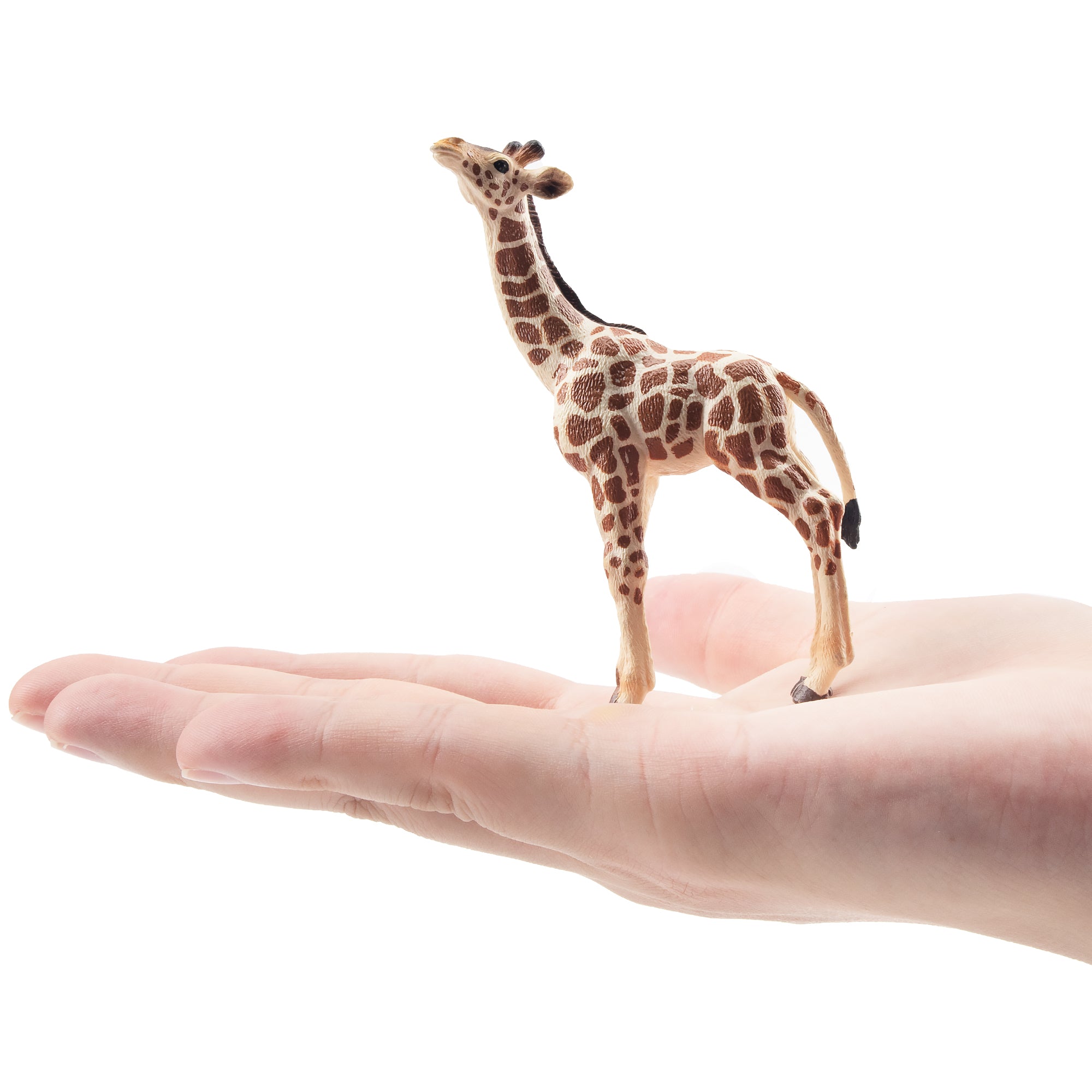 Toymany Giraffe Calf Figurine Toy-on hand