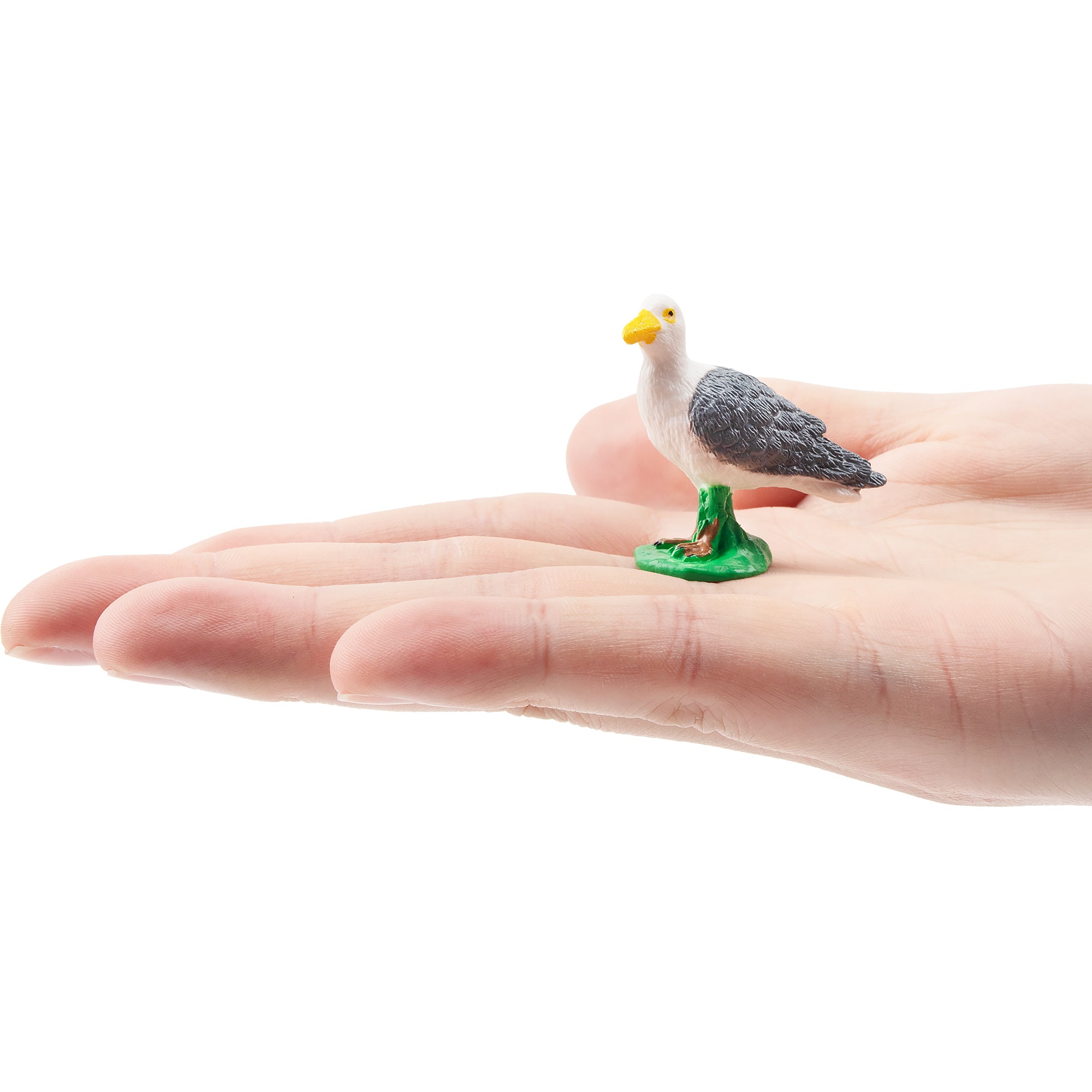 Toymany Glaucous Gull Figurine Toy-on hand