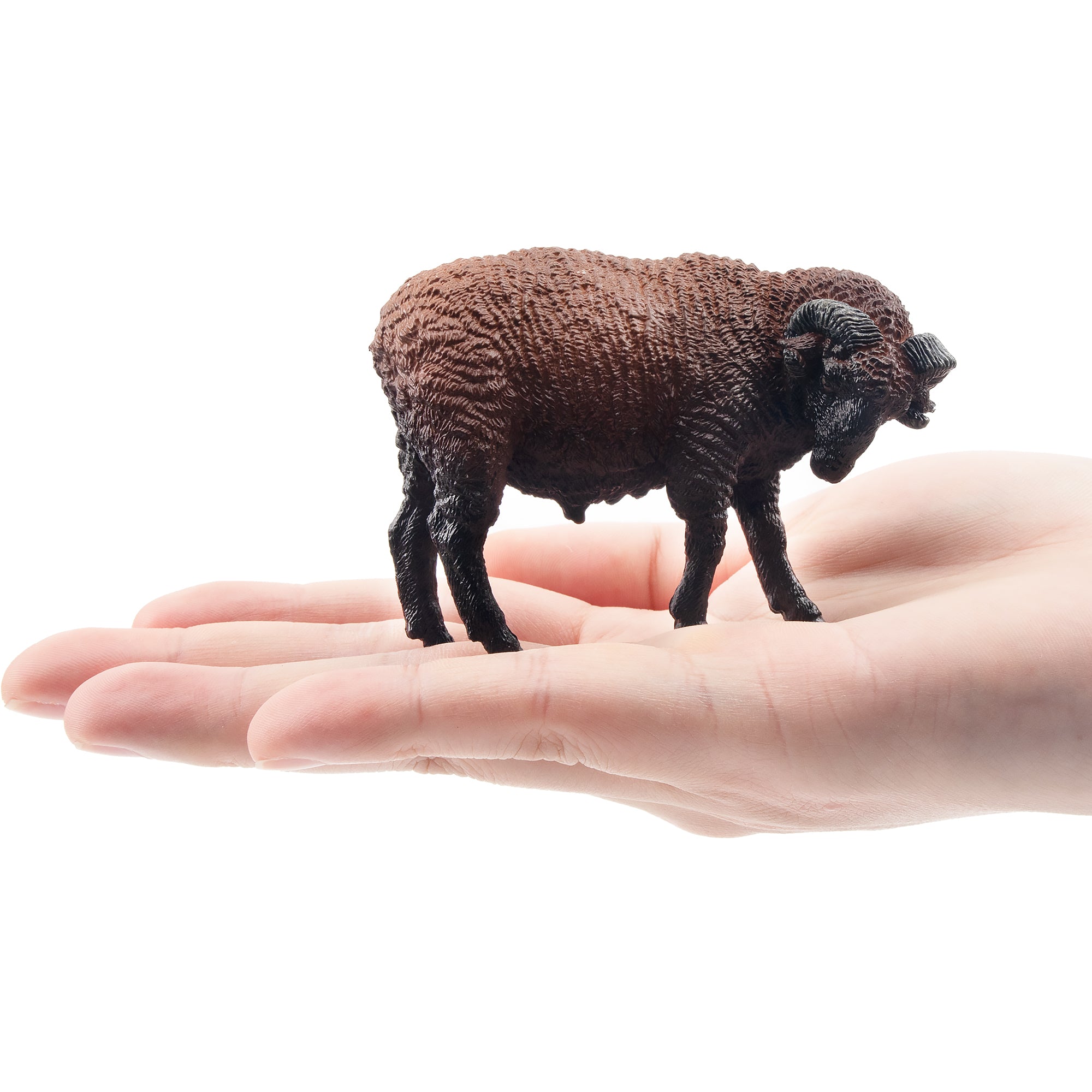 Toymany Grazing Dark-Haired Ram Figurine Toy-on hand