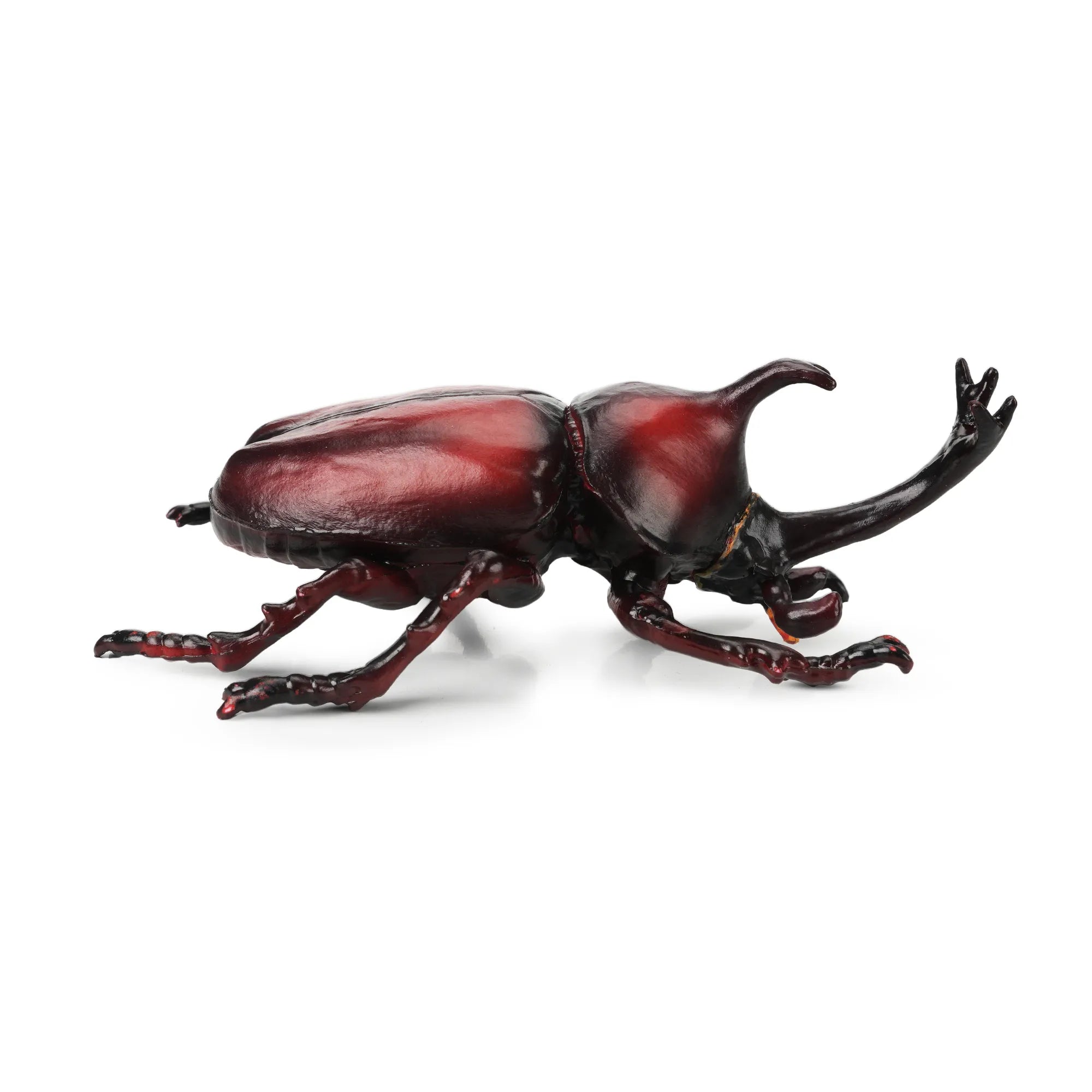 Toymany Japanese Rhinoceros Beetle Figurine Toy