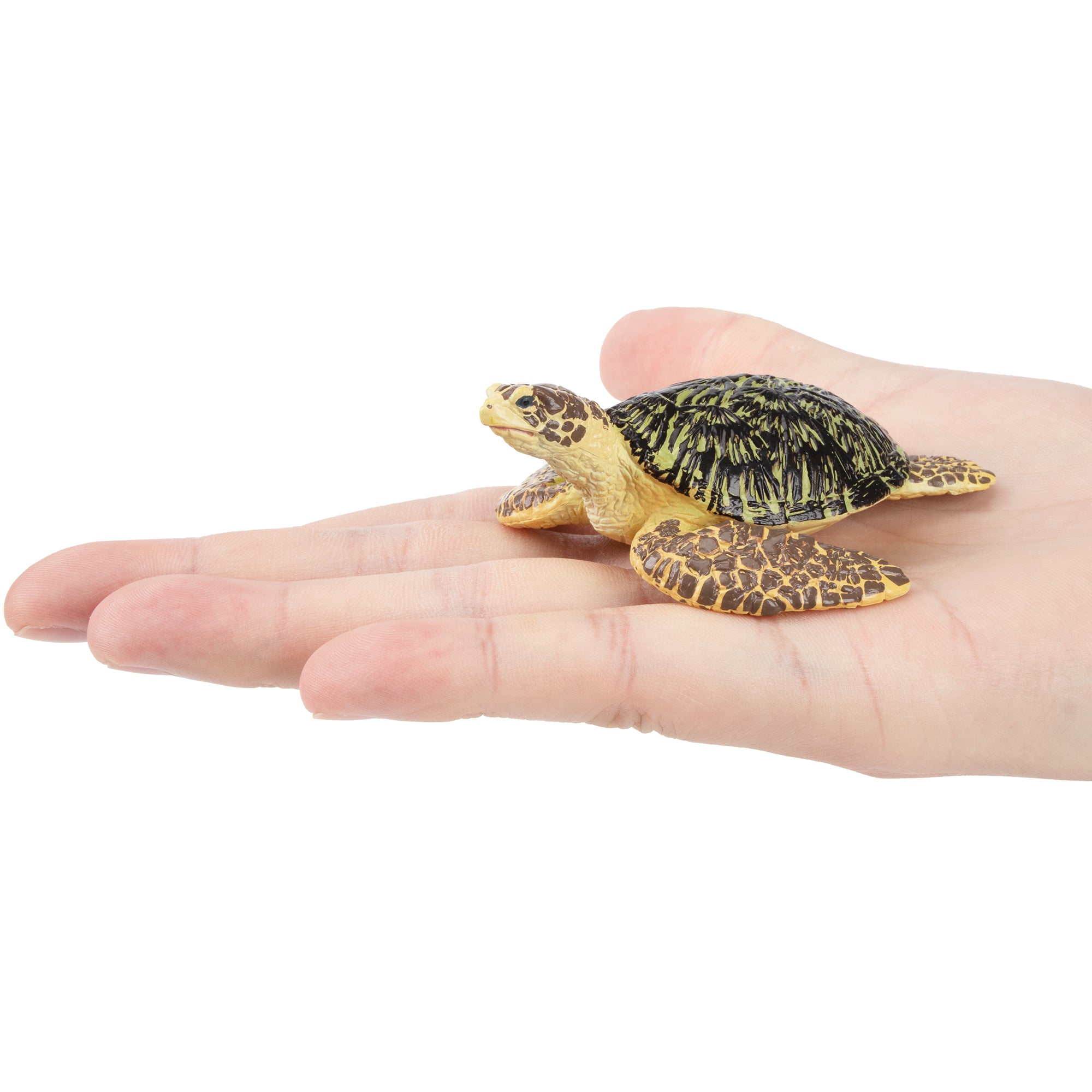 Toymany Loggerhead Sea Turtle Figurine Toy-on hand
