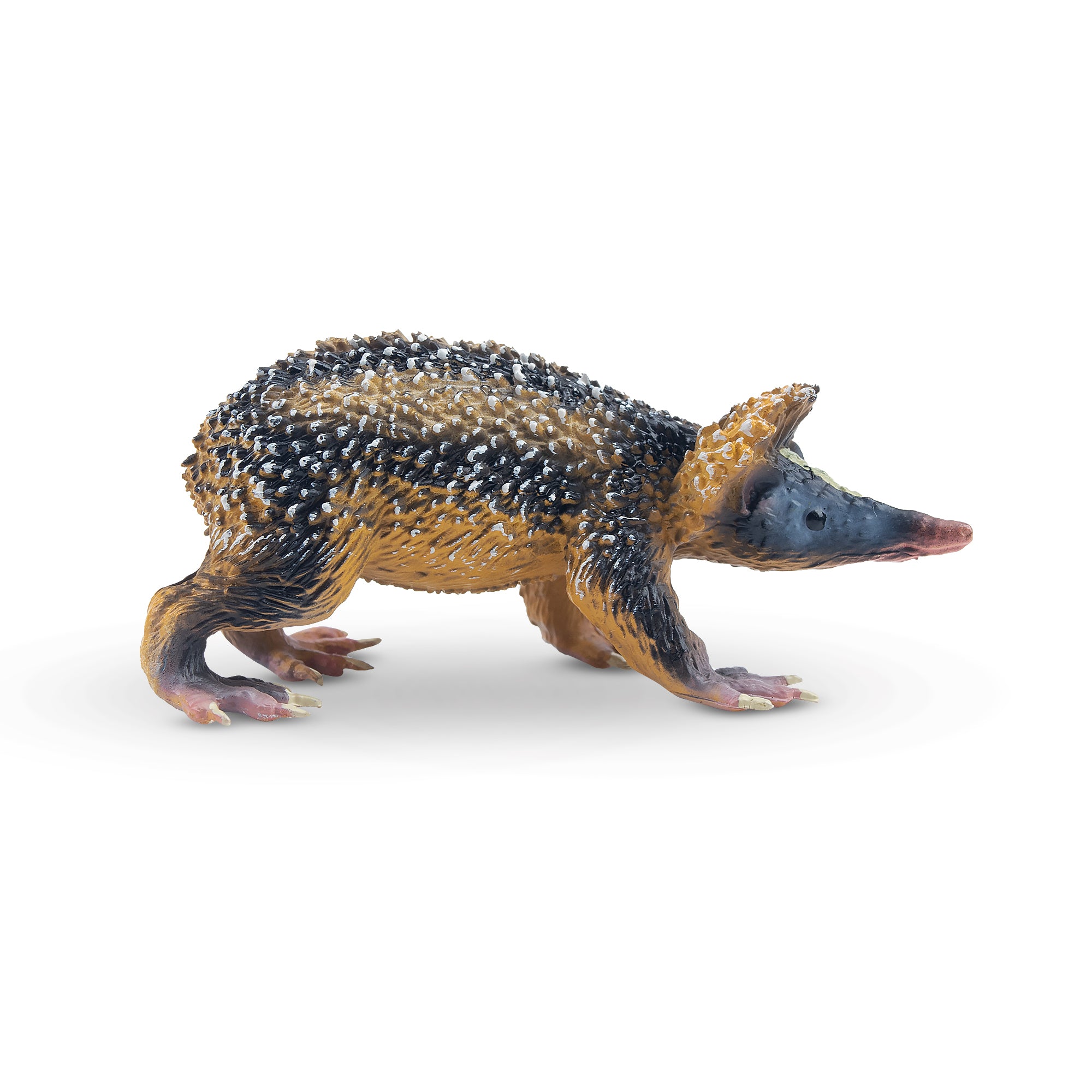 Toymany Lowland Streaked Tenrec Figurine Toy-2
