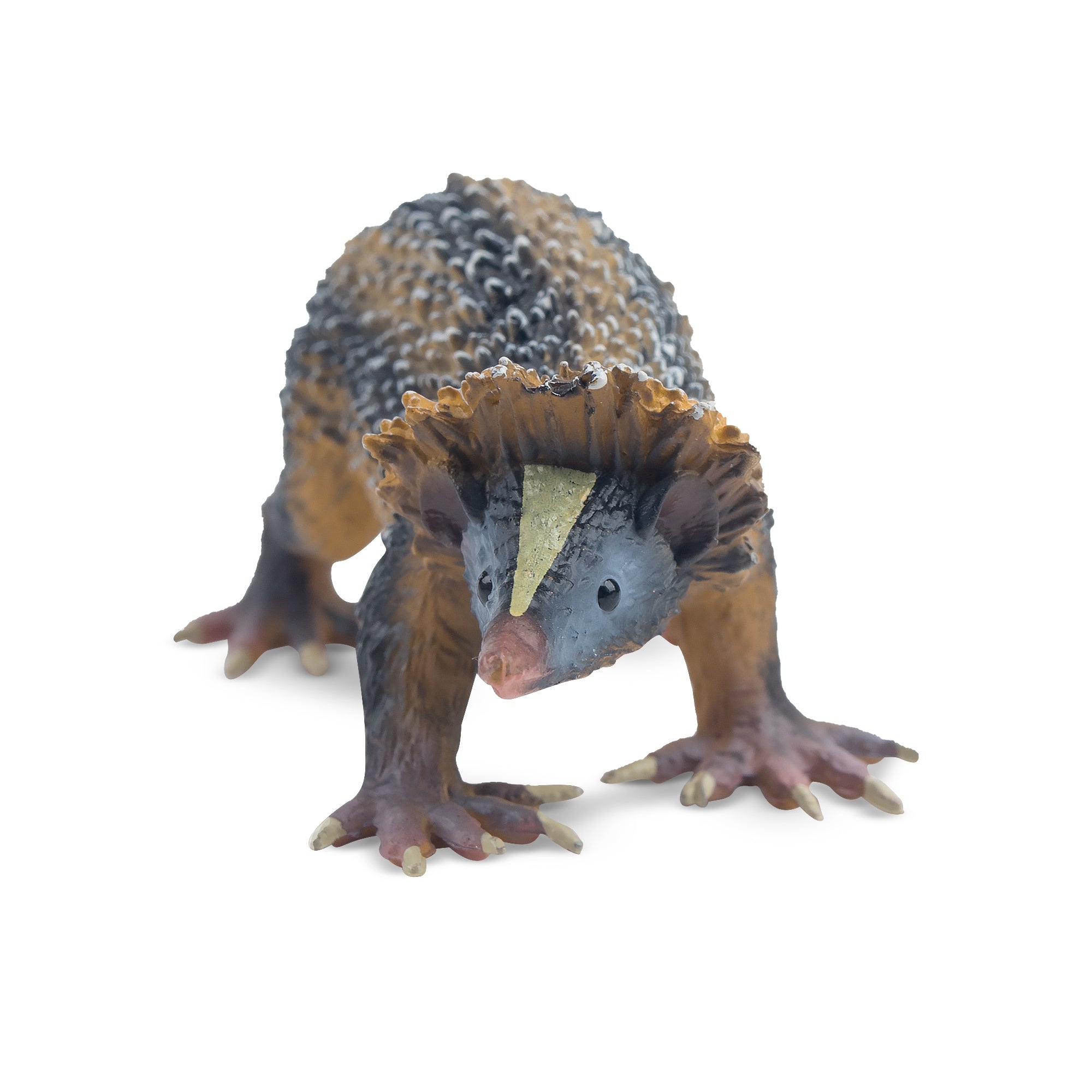 Toymany Lowland Streaked Tenrec Figurine Toy-4