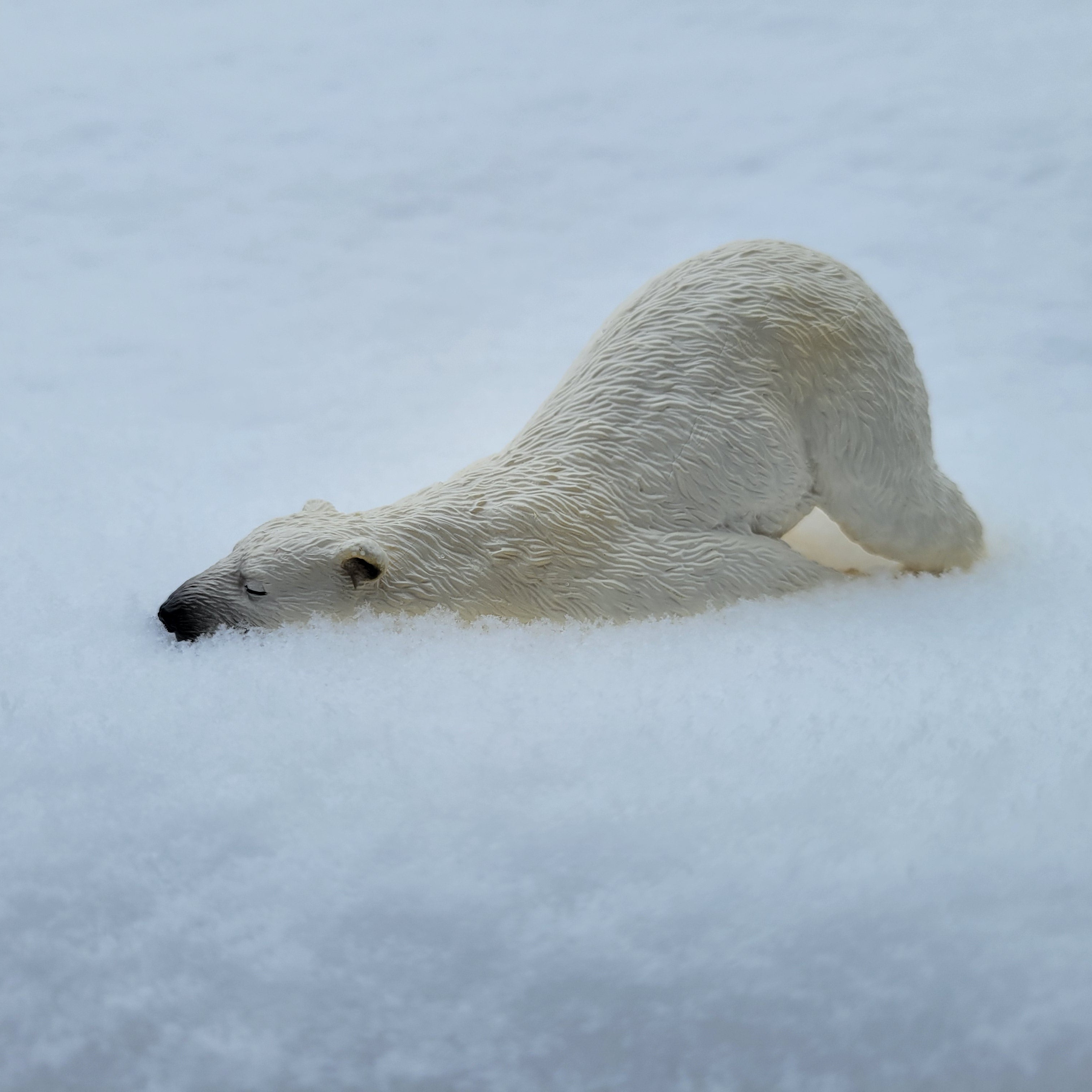 Toymany Lying Adult Polar Bear Figurine Toy-snow