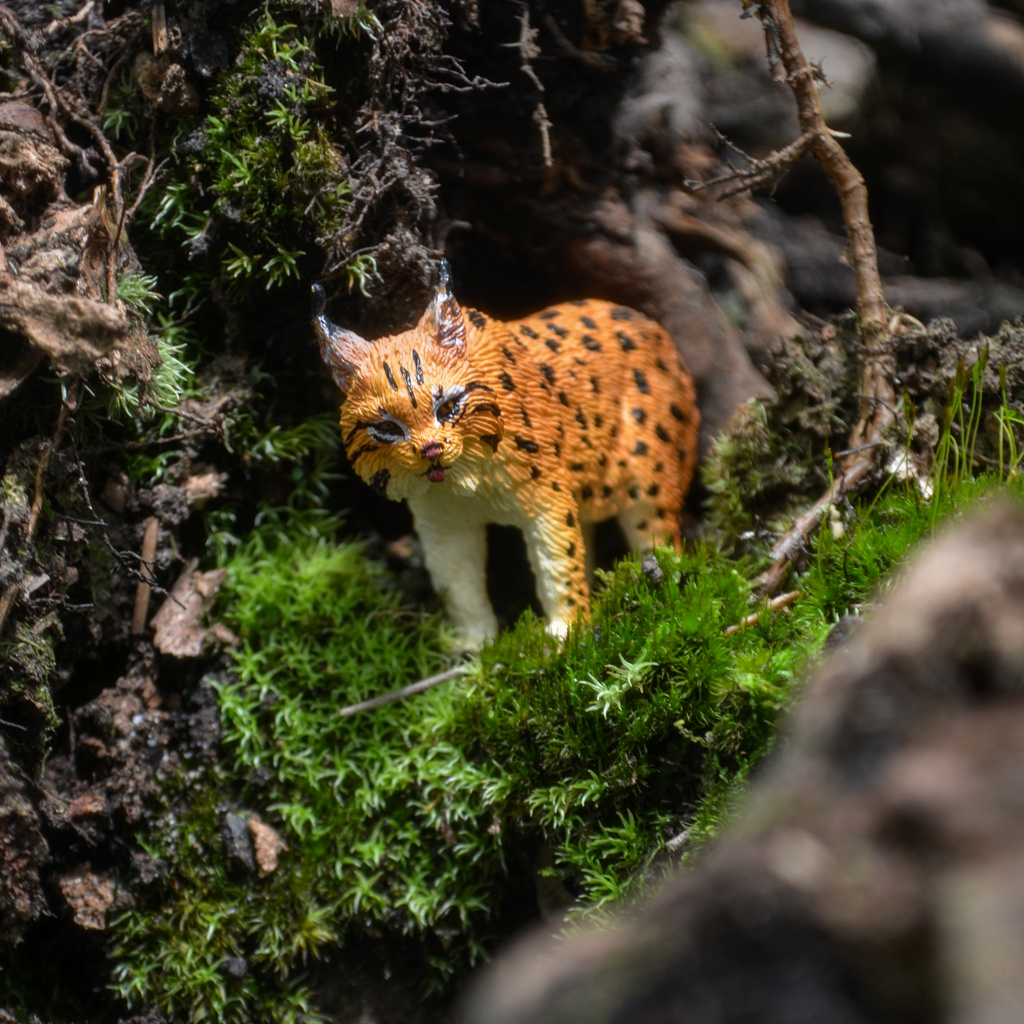Toymany Lynx Figurine Toy-outdoor