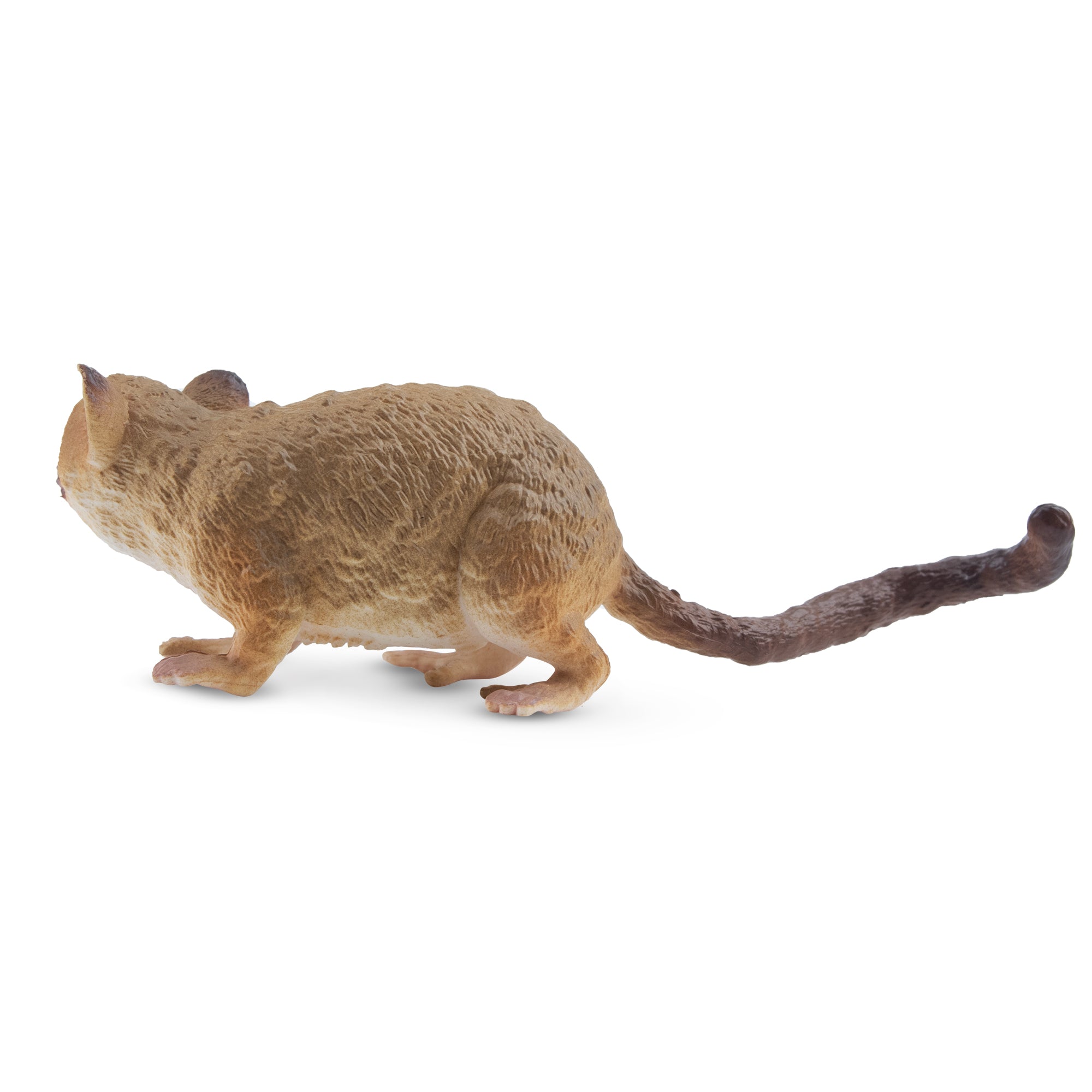 Toymany Madame Berthe's Mouse Lemur Figurine Toy-back
