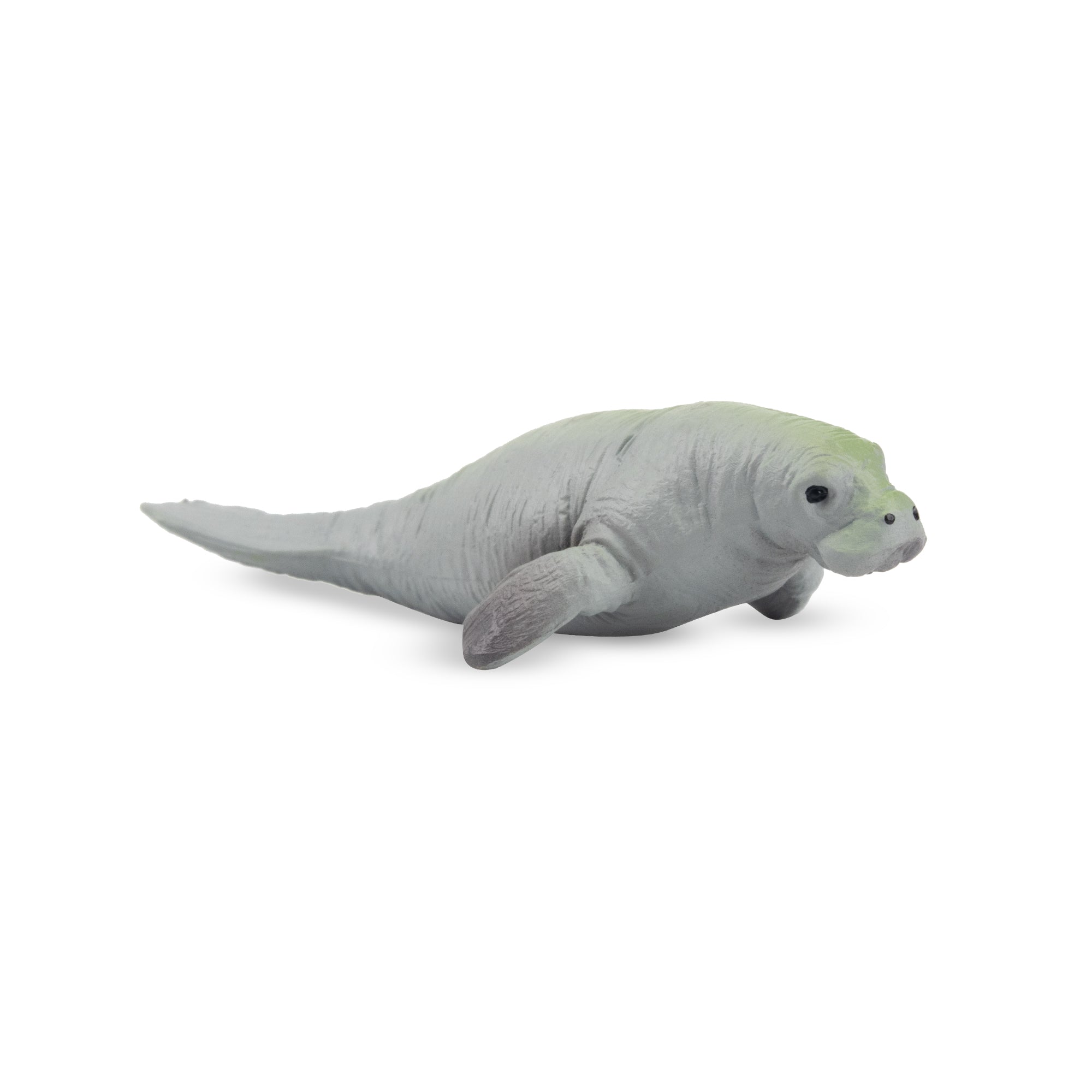 Toymany Manatee Figurine Toy-2