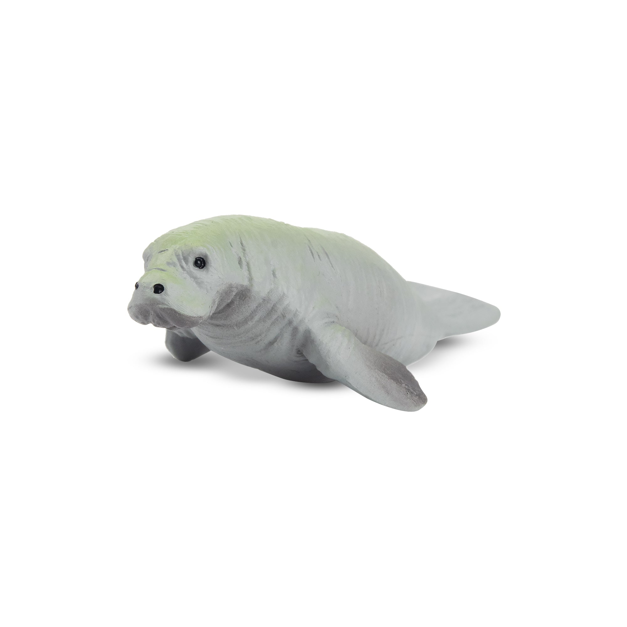 Toymany Manatee Figurine Toy-front