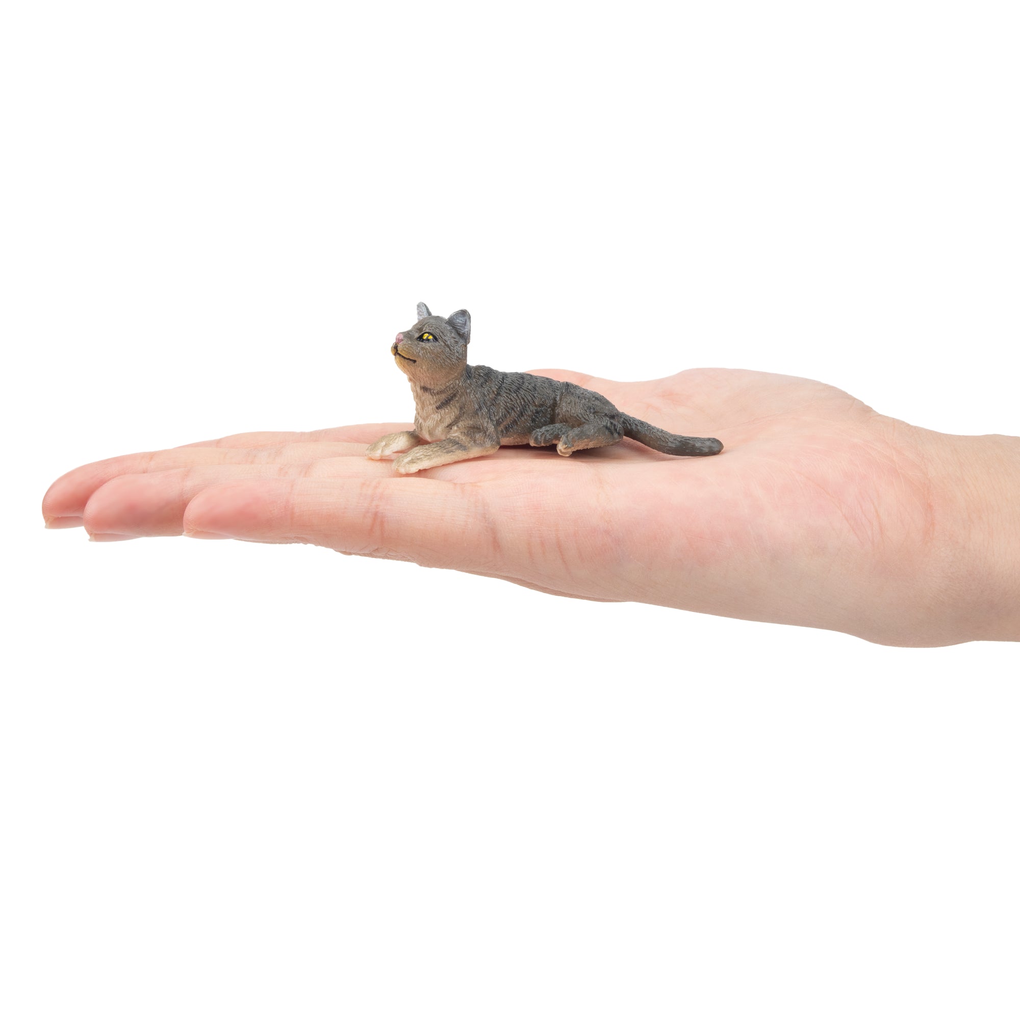 Toymany Mini Reclining Grey American Wirehair Cat Figurine Toy-on hand