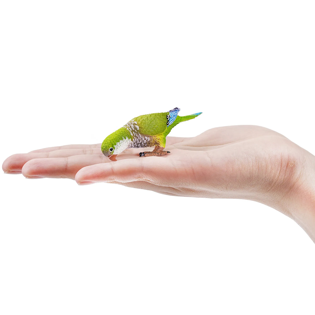 Toymany Monk Parakeet Figurine Toy-on hand