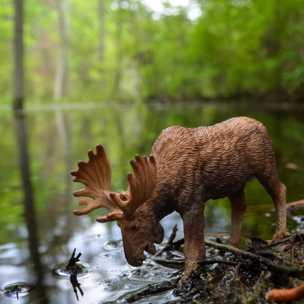 Toymany Moose Figurine Toy-outdoor