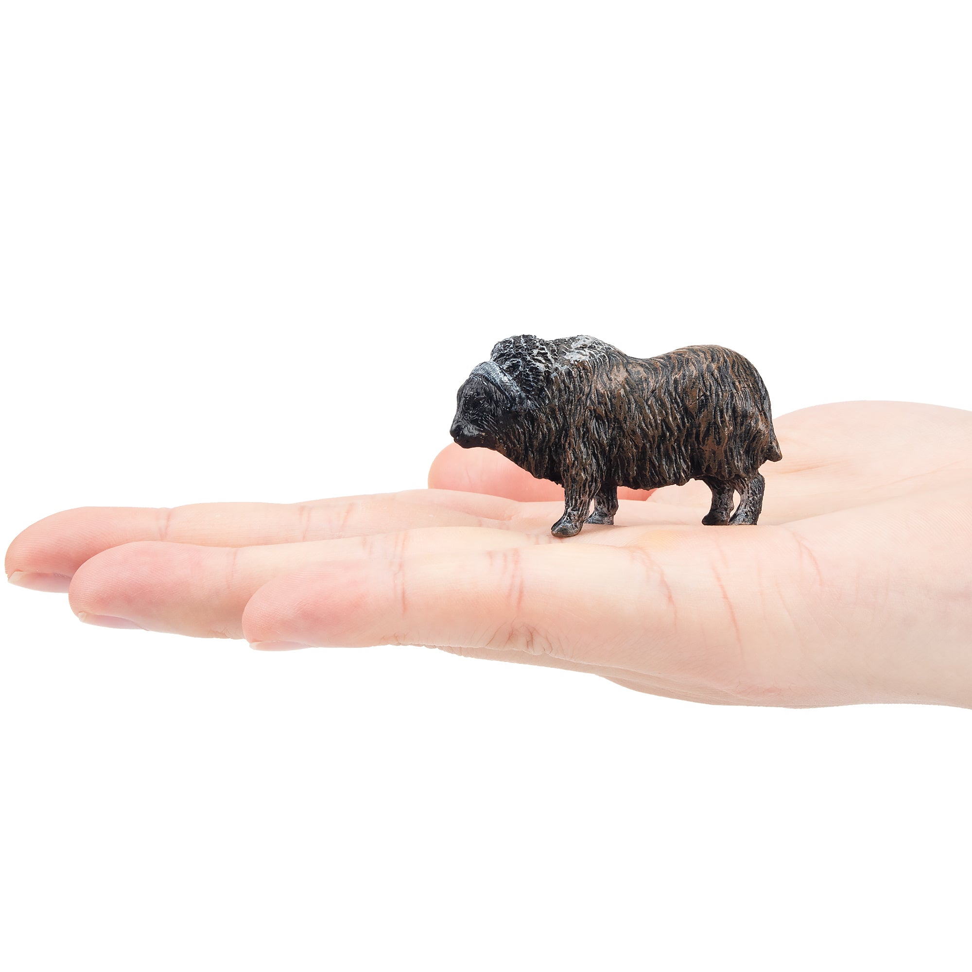 Toymany Musk Ox Figurine Toy-on hand