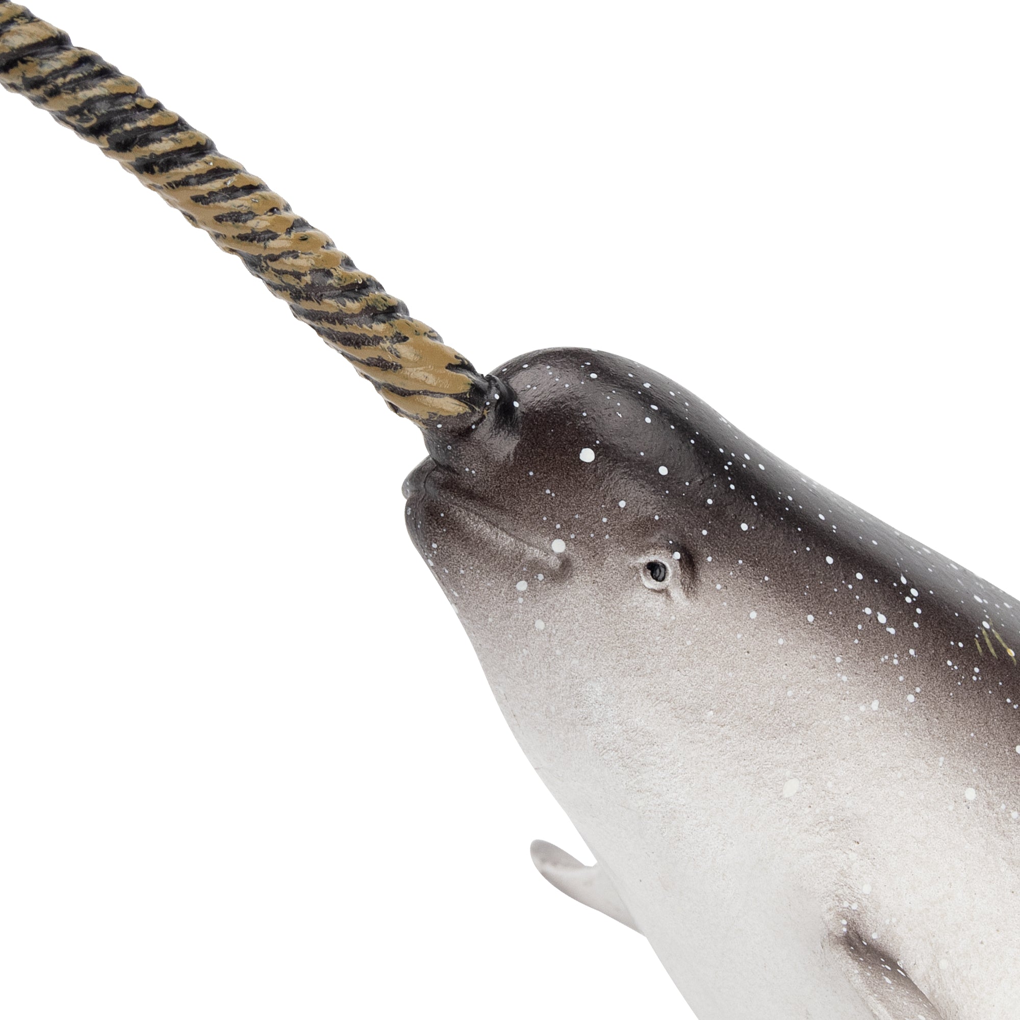 Toymany Narwhal Figurine Toy-detail