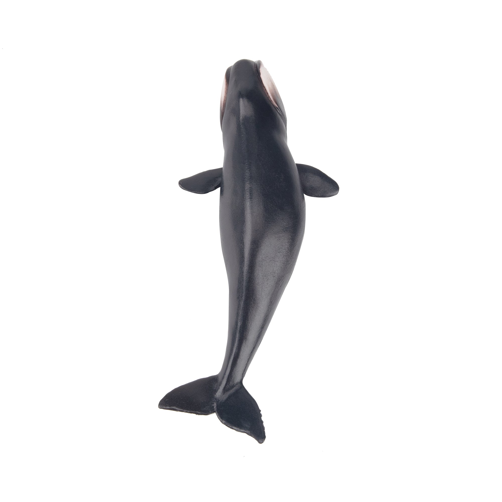 Toymany North Pacific Right Whale Figurine Toy-top