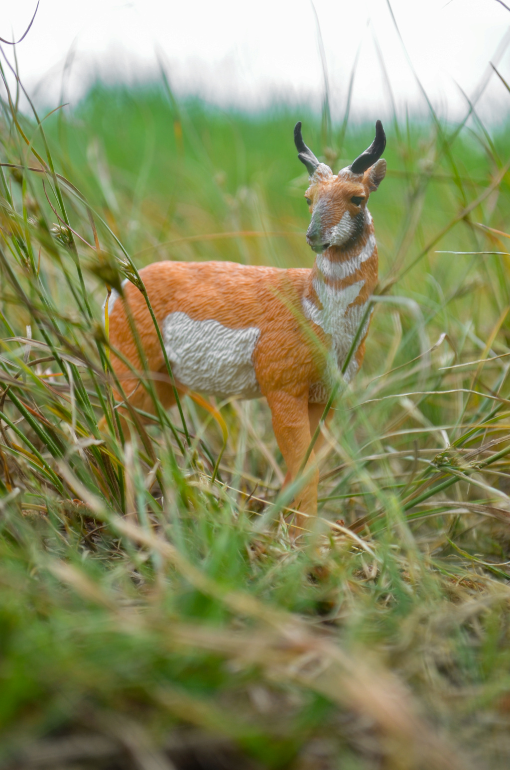 Toymany Pronghorn Figurine Toy-outdoor