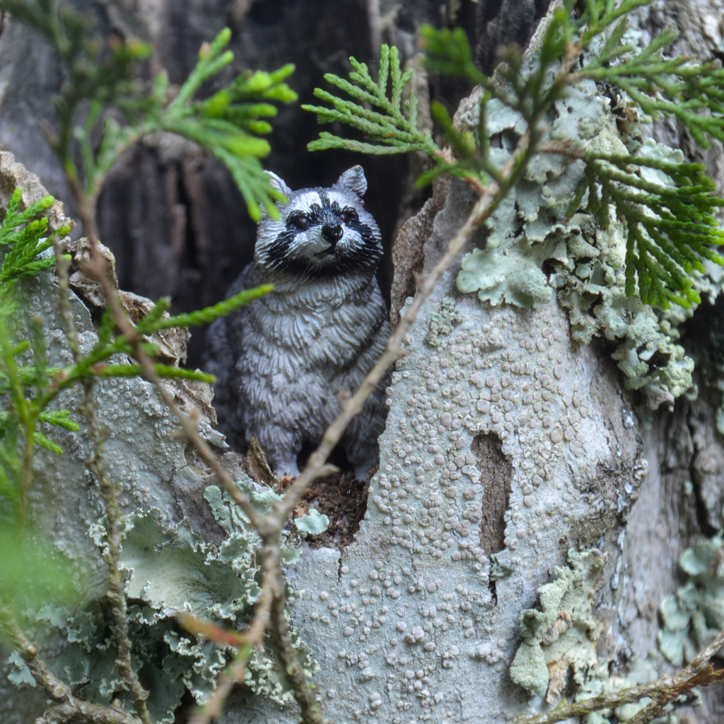 Toymany Raccoon Figurine Toy-outdoor