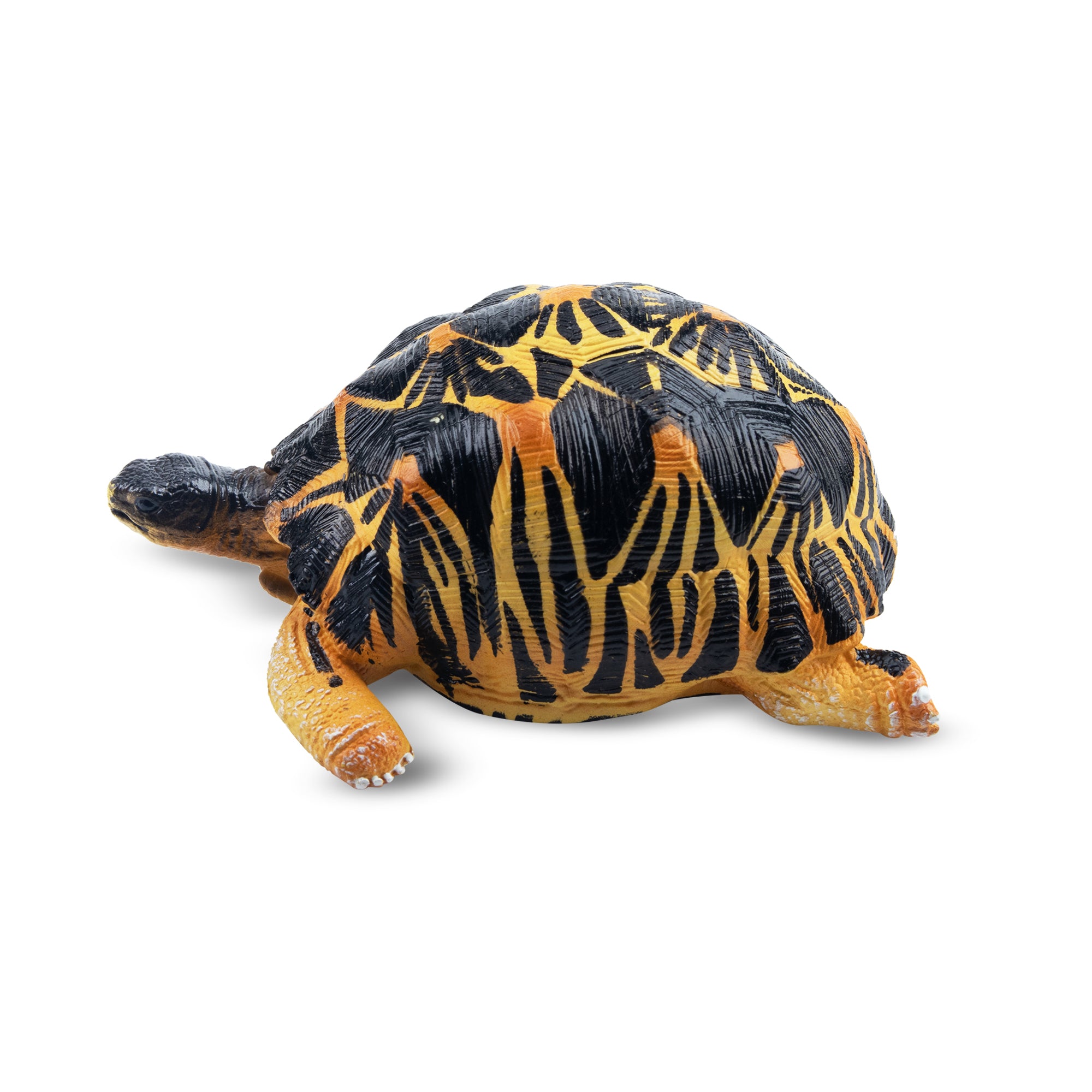 Toymany Radiated Tortoise Figurine Toy-2