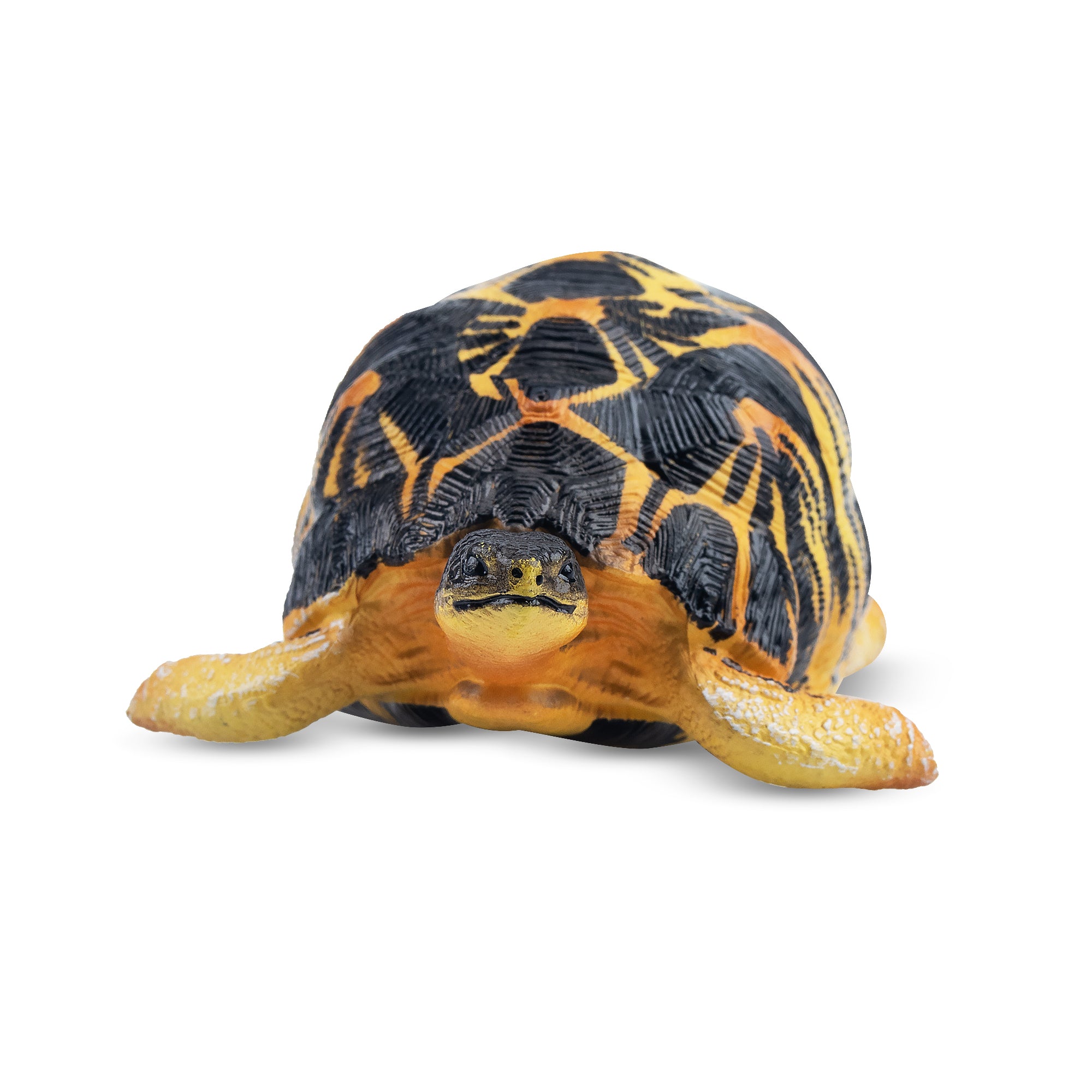Toymany Radiated Tortoise Figurine Toy-3