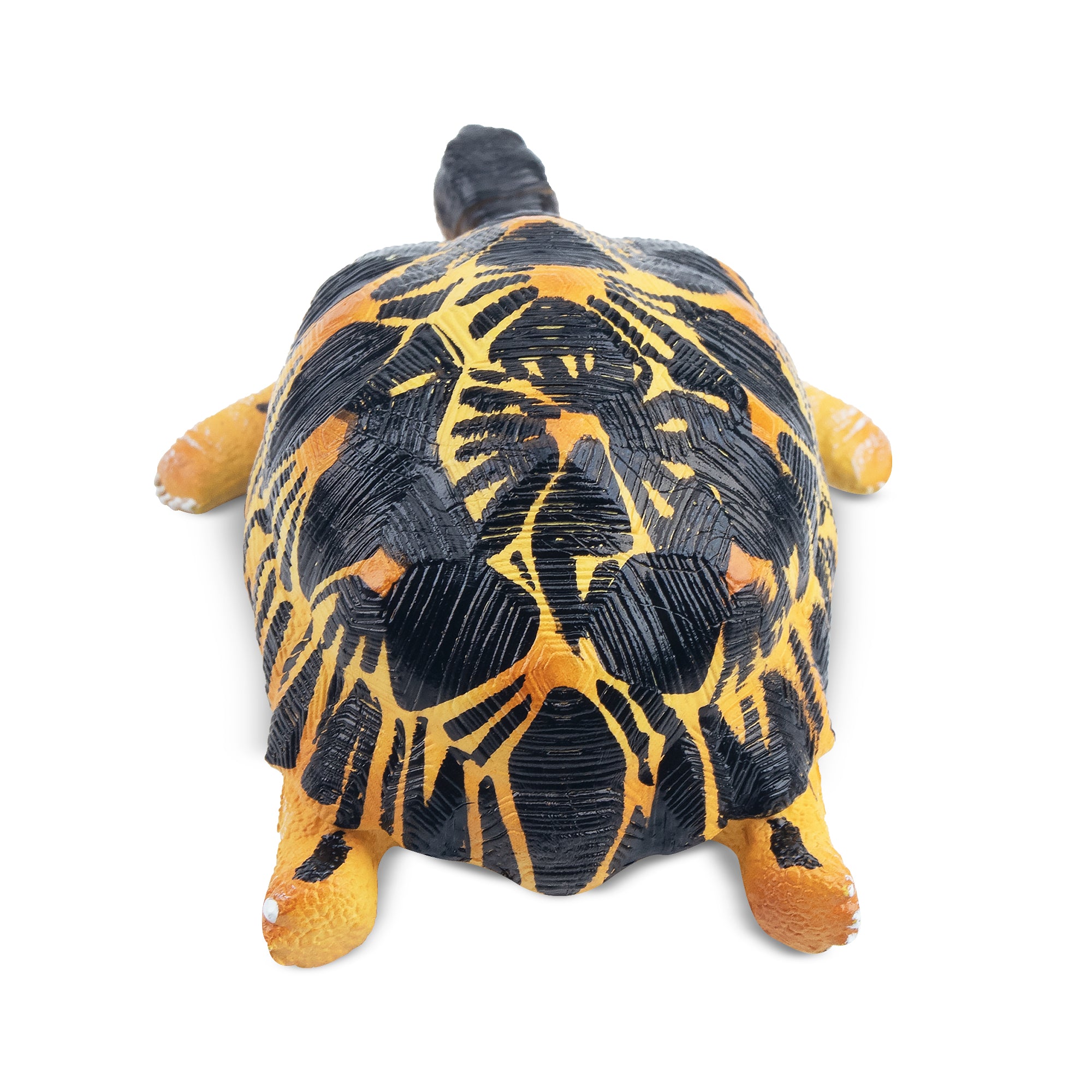 Toymany Radiated Tortoise Figurine Toy-back