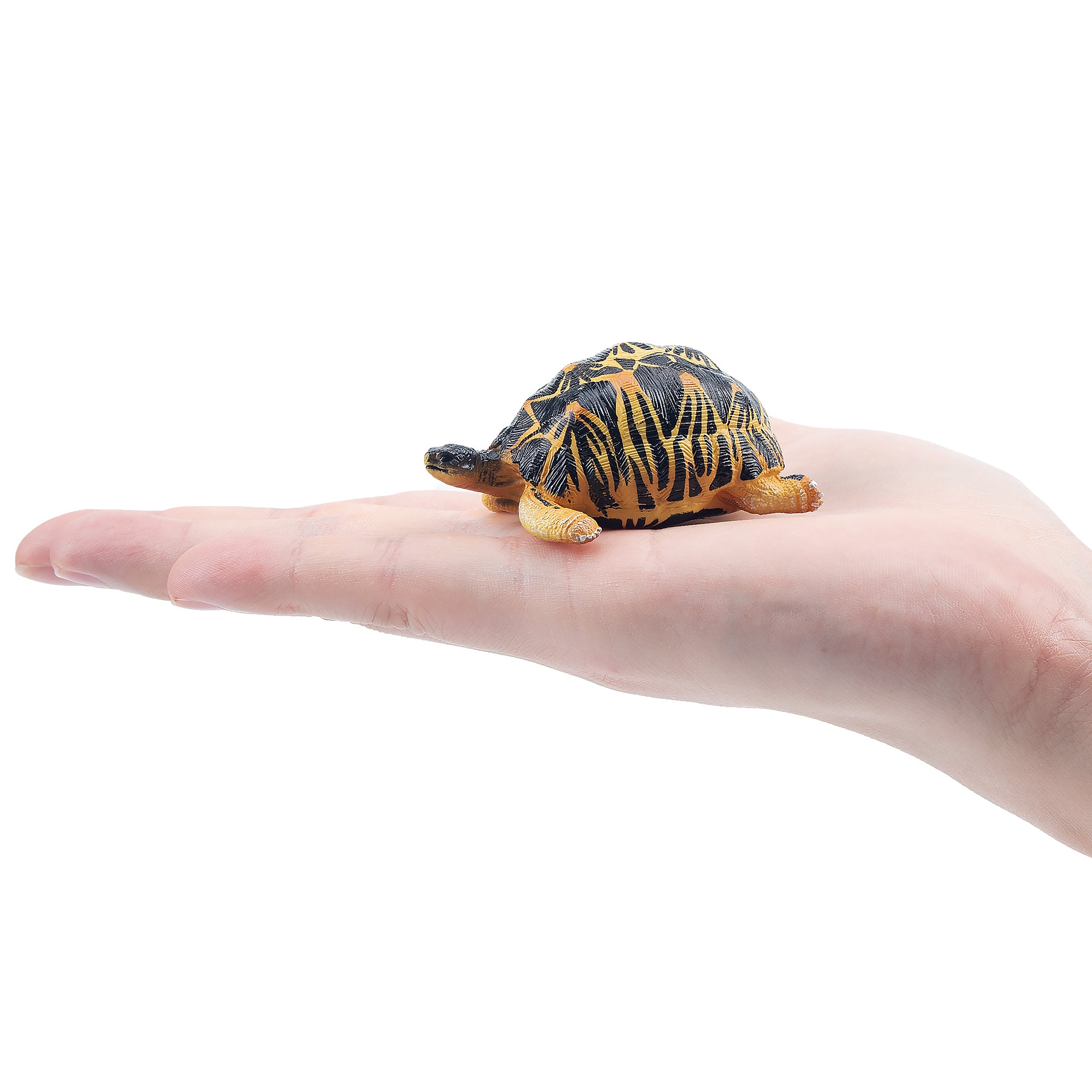 Toymany Radiated Tortoise Figurine Toy-on hand