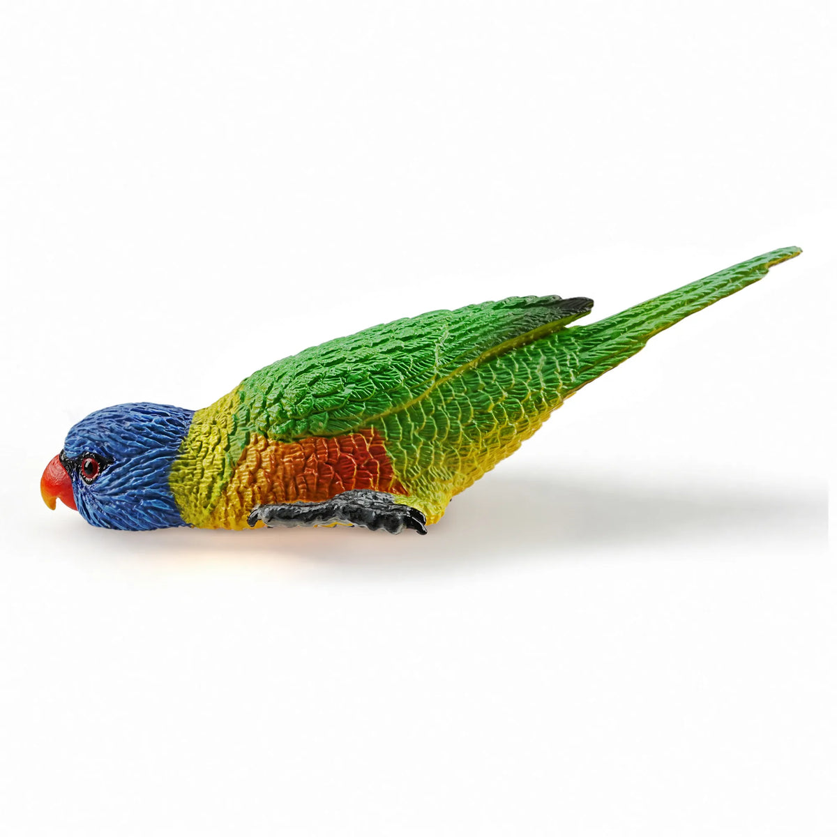 Toymany Rainbow Lorikeet Figurine Toy-4