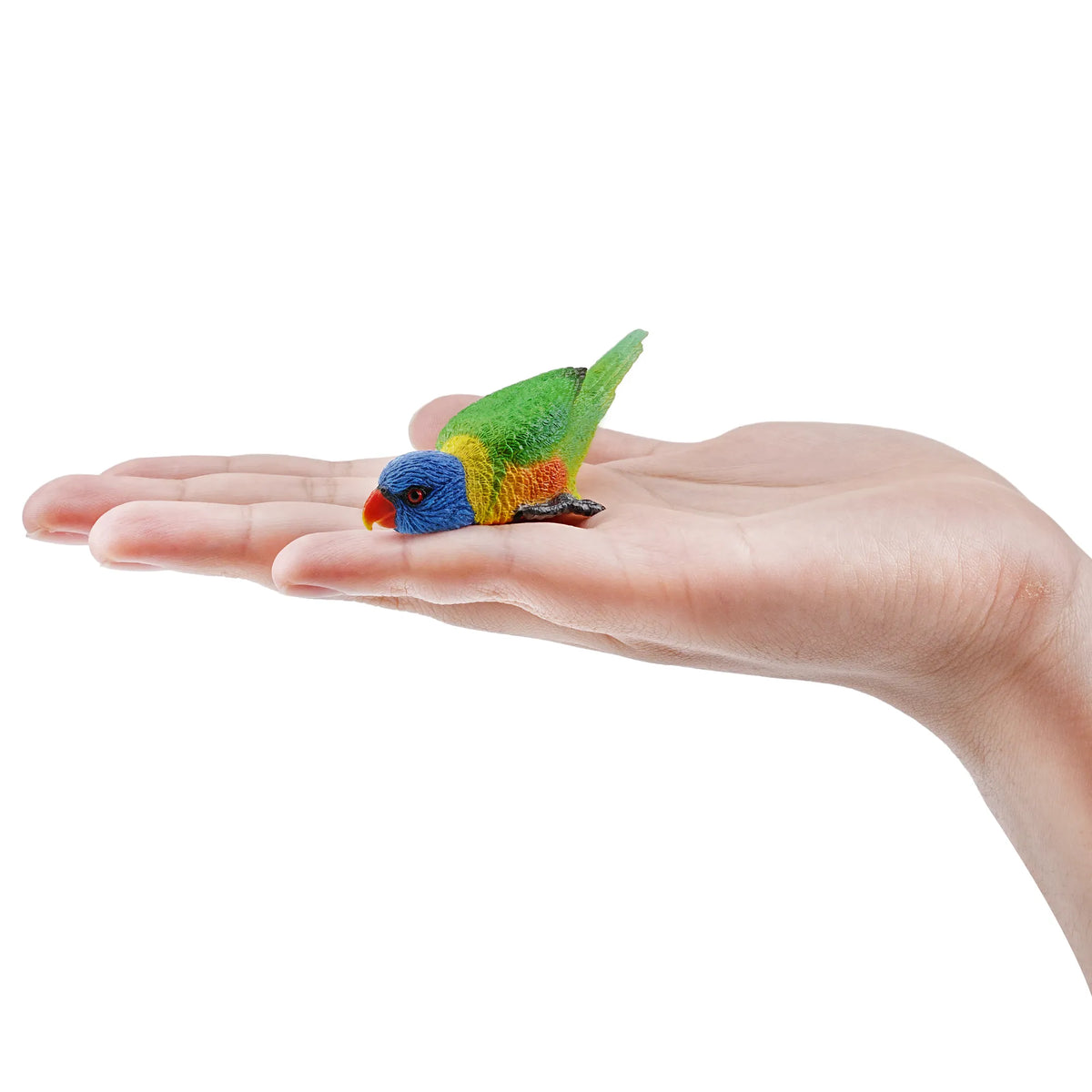 Toymany Rainbow Lorikeet Figurine Toy-on hand