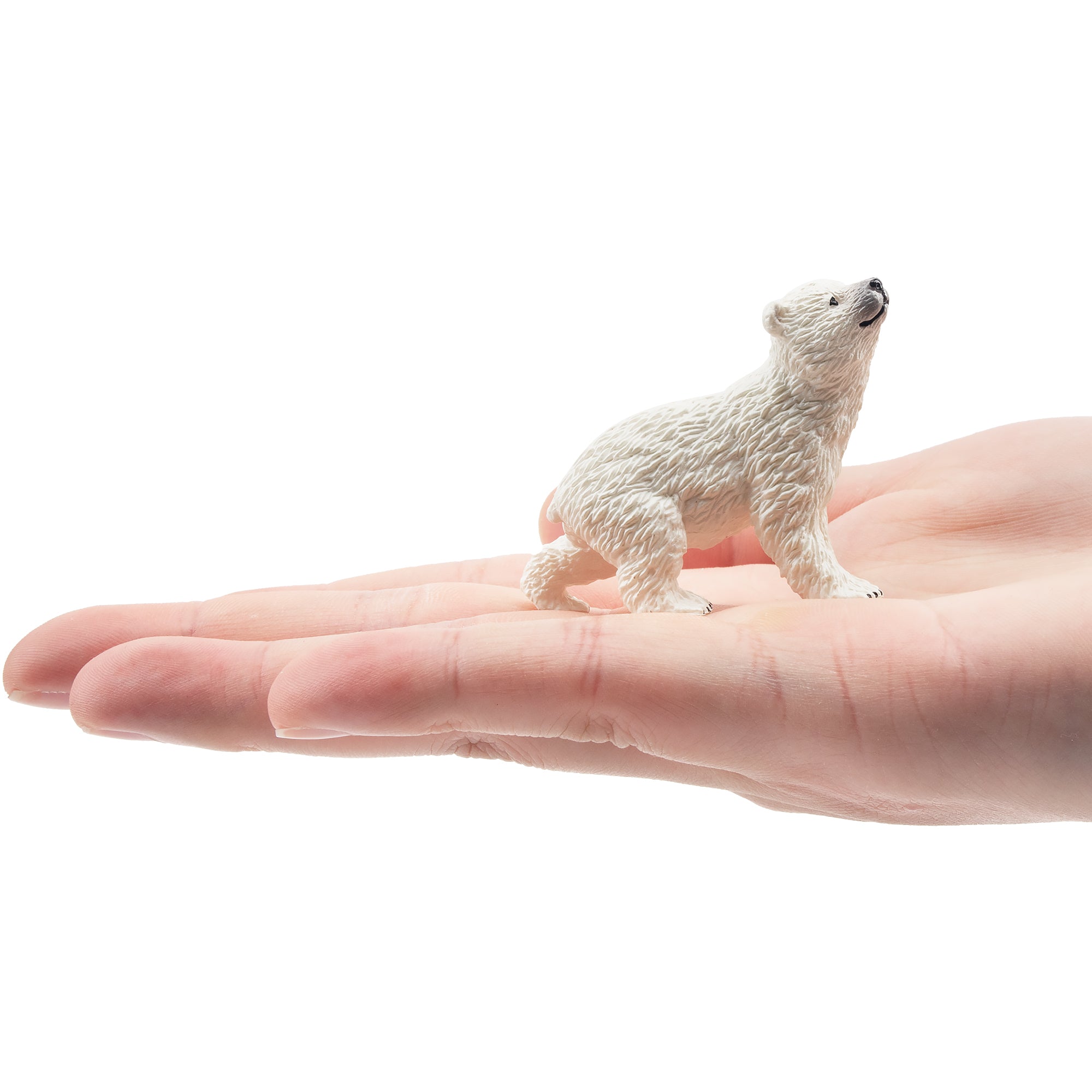 Toymany Raised-Head Semi-Crouched Polar Bear Cub Figurine-on hand