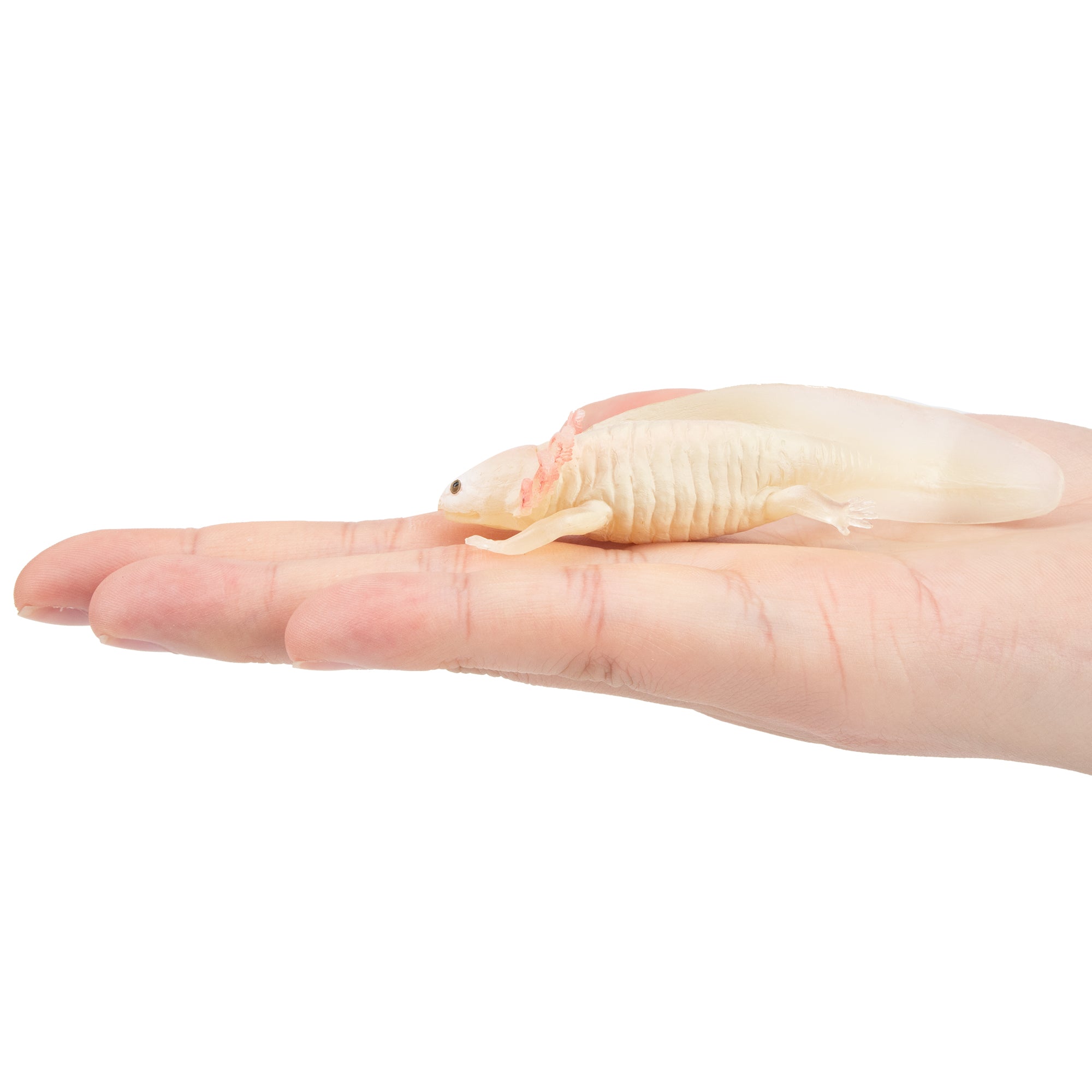 Toymany Salamander Figurine Toy-on hand