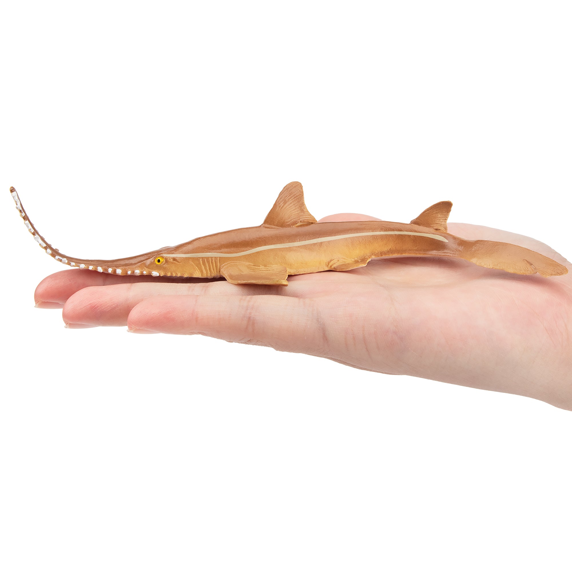 Toymany Sawshark Figurine Toy-on hand