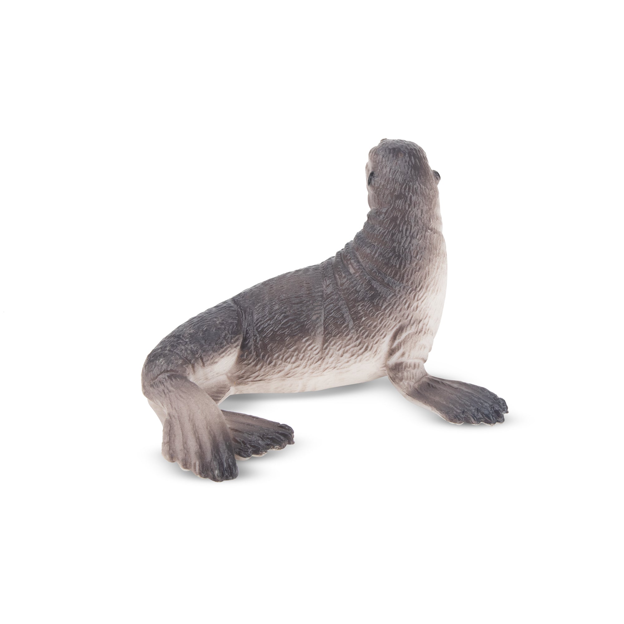 Toymany Seal Figurine Toy-back
