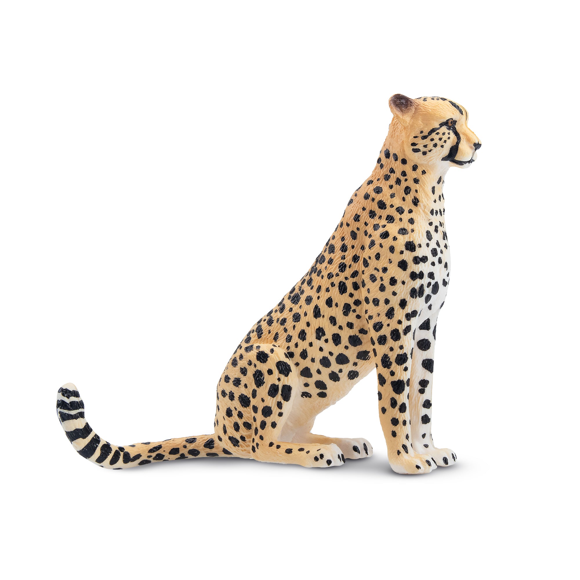 Toymany Sitting Female Cheetah Figurine Toy-4