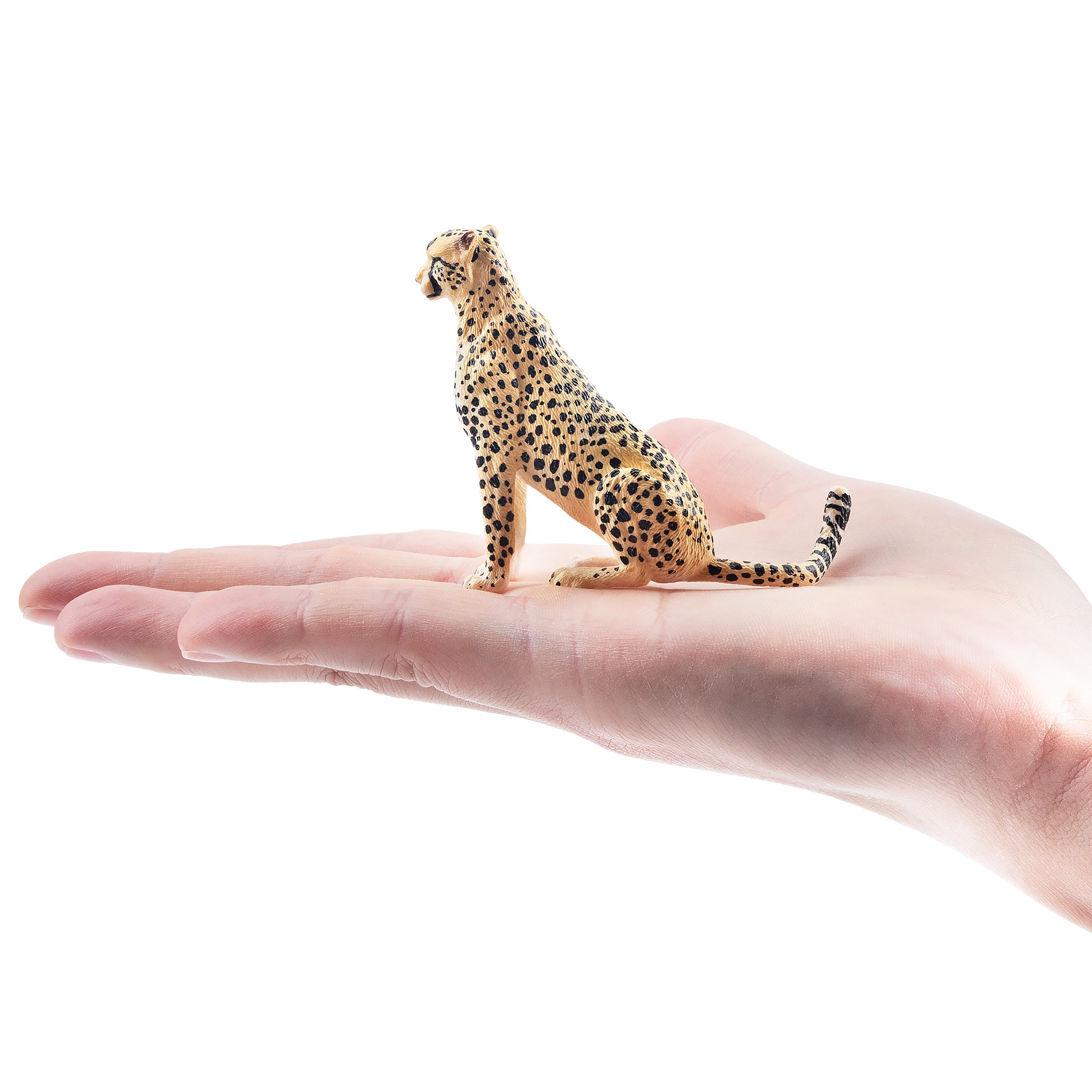 Toymany Sitting Female Cheetah Figurine Toy-on hand