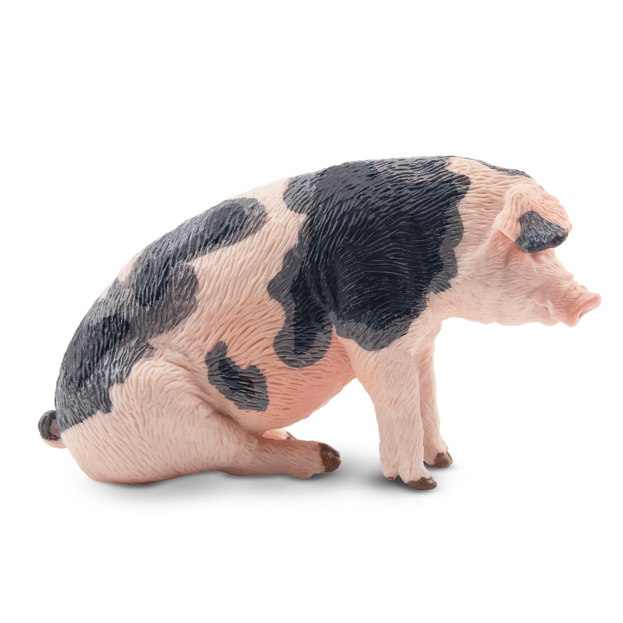 Toymany Sitting Grey Male Adult Pig Figurine Toy-2