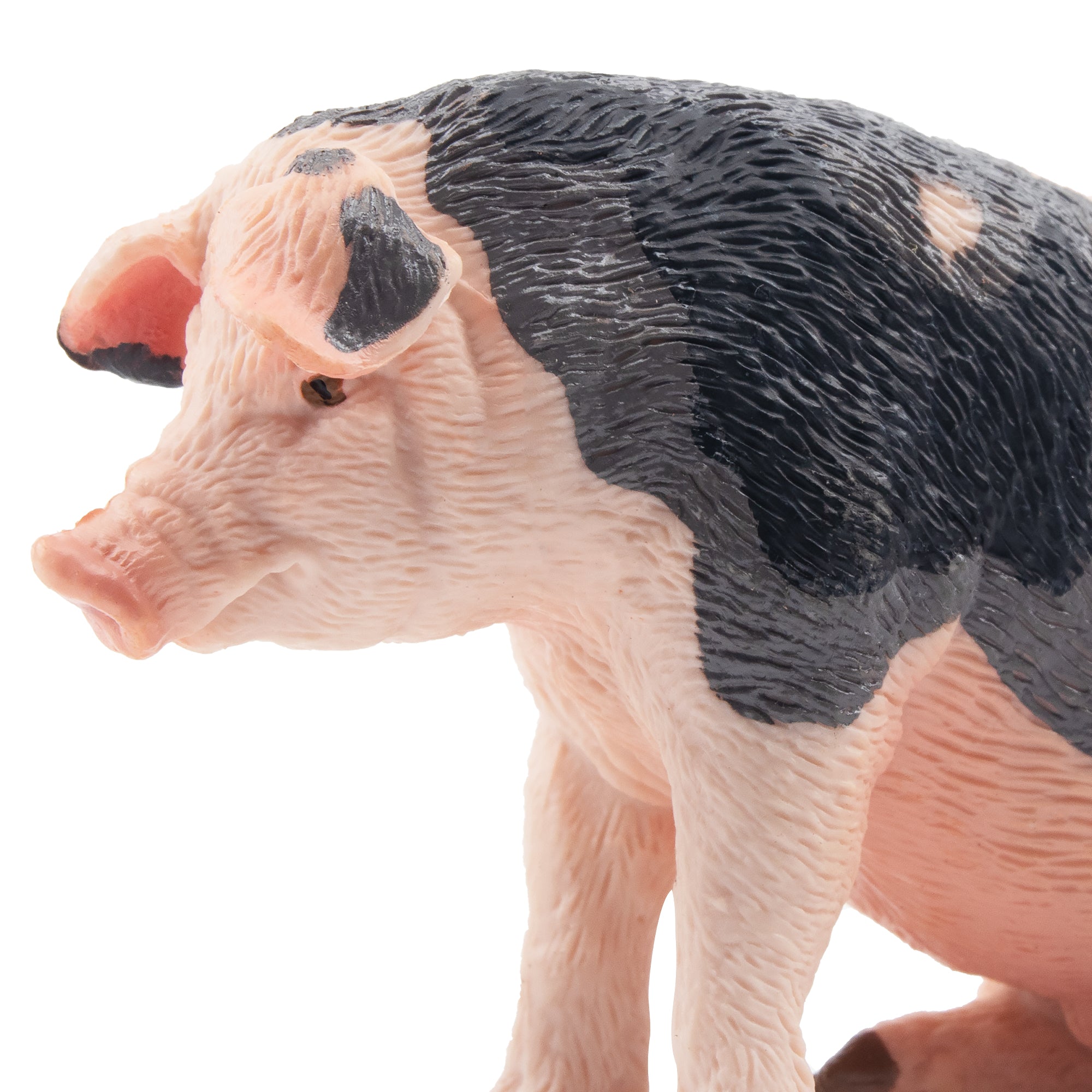 Toymany Sitting Grey Male Adult Pig Figurine Toy-detail