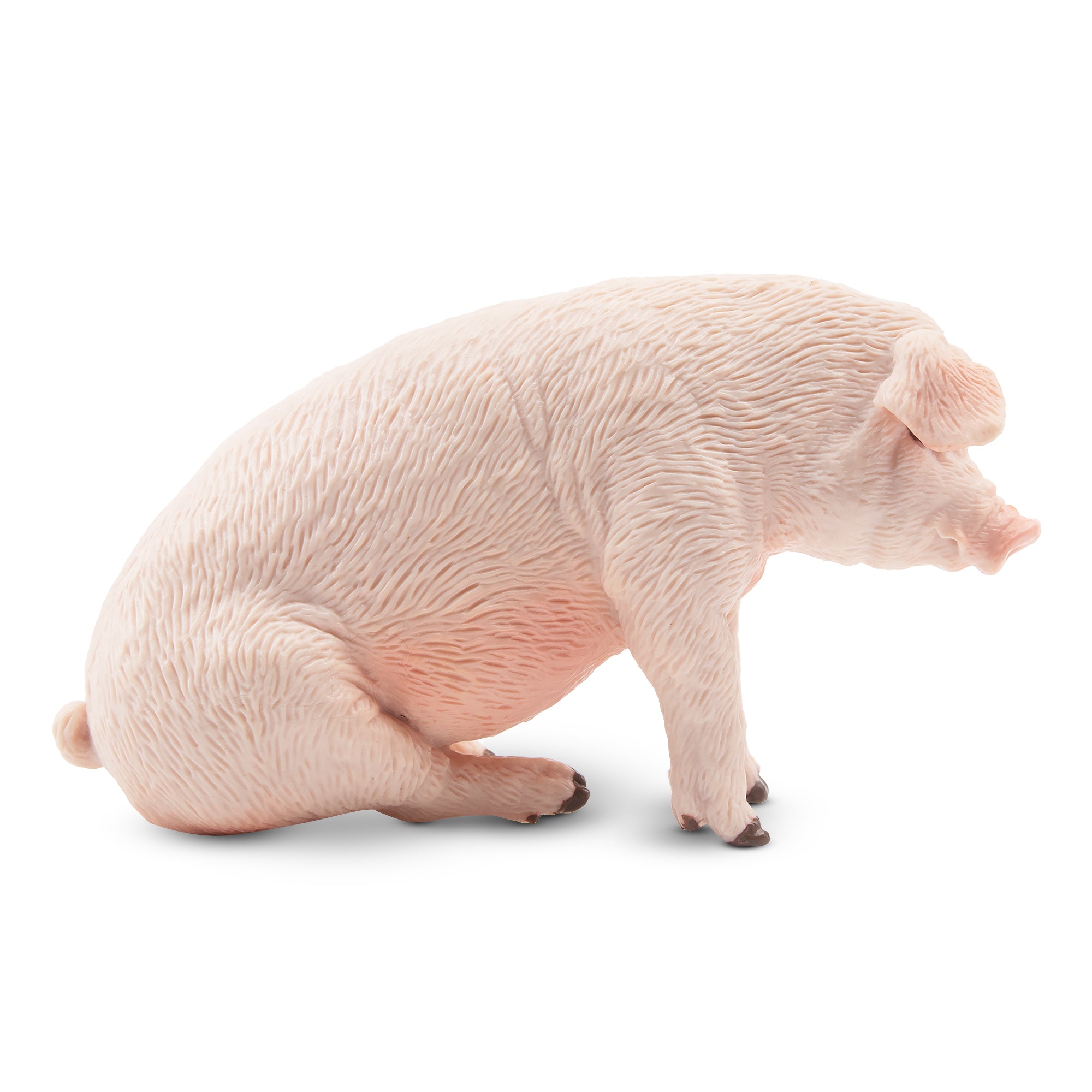 Toymany Sitting Male Adult Pig Figurine Toy-2
