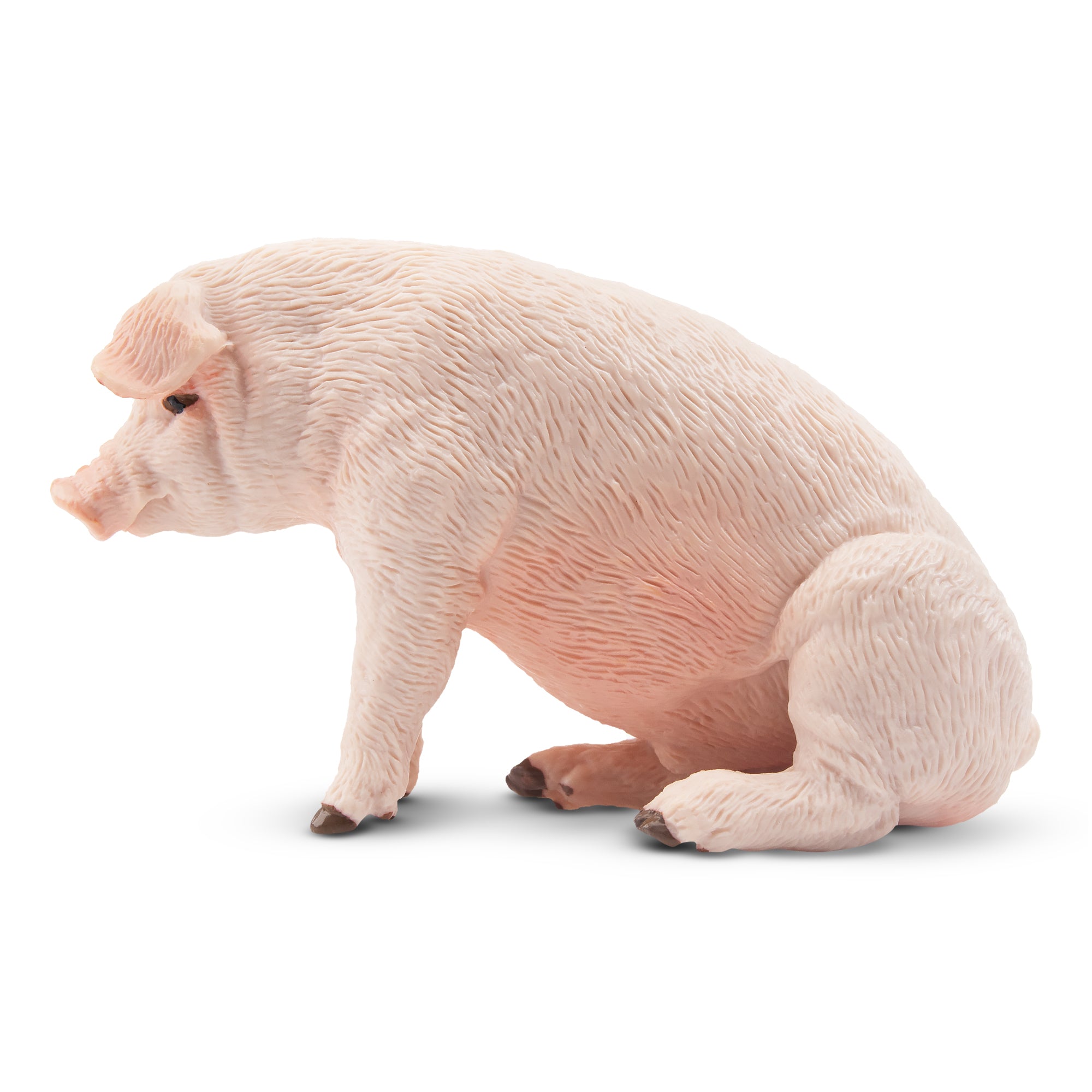 Toymany Sitting Male Adult Pig Figurine Toy