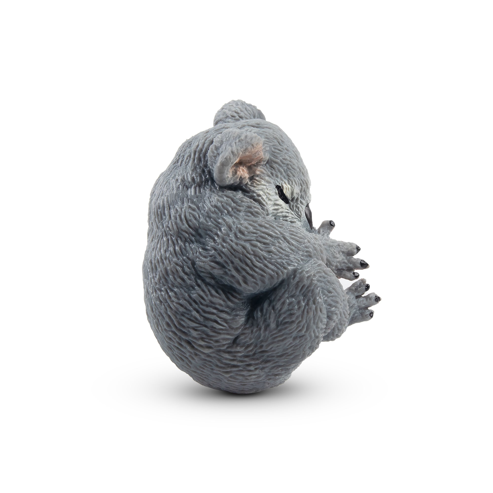 Toymany Sleeping Koala