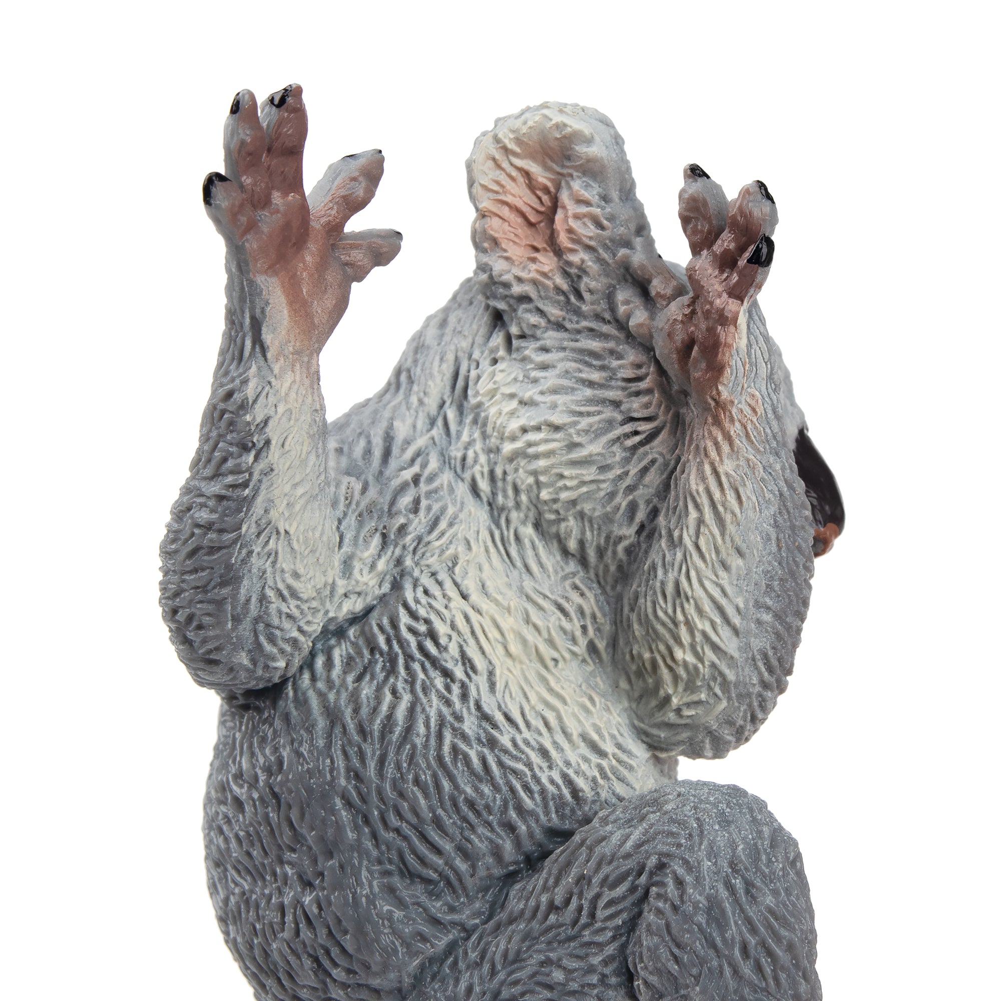 Toymany Sleeping Male Koala-front