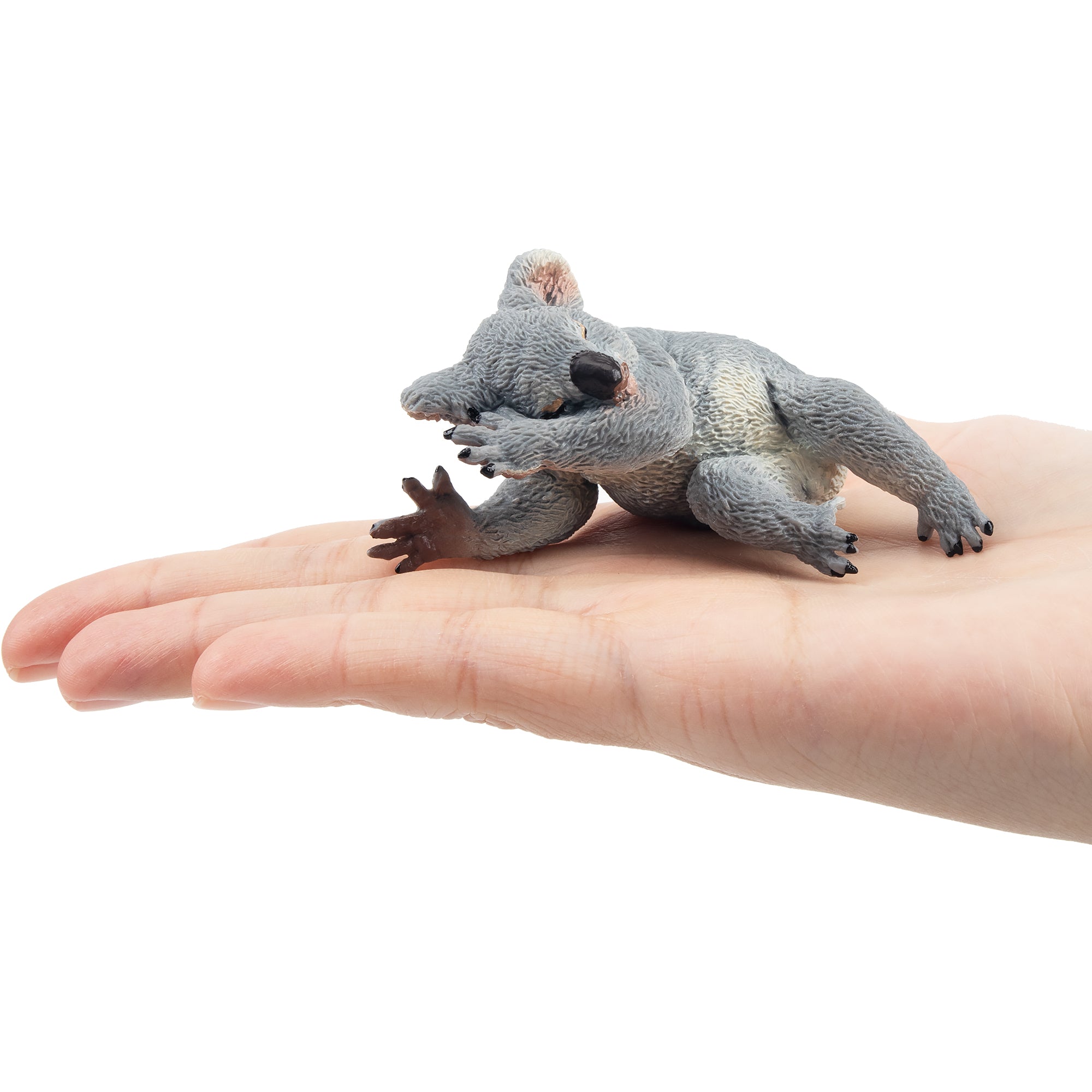 Toymany Sleeping Male Koala-on hand
